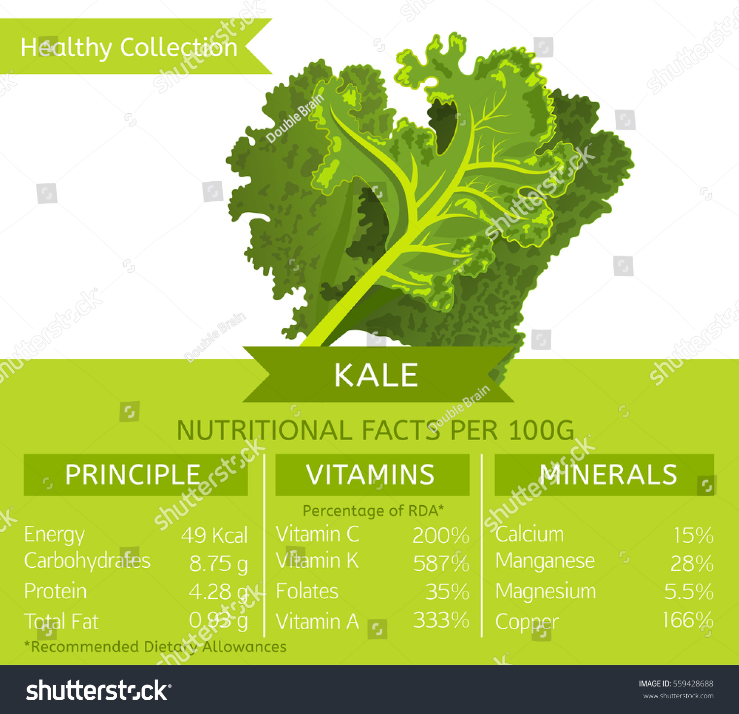 58,409 Kale nutrition Images, Stock Photos & Vectors | Shutterstock