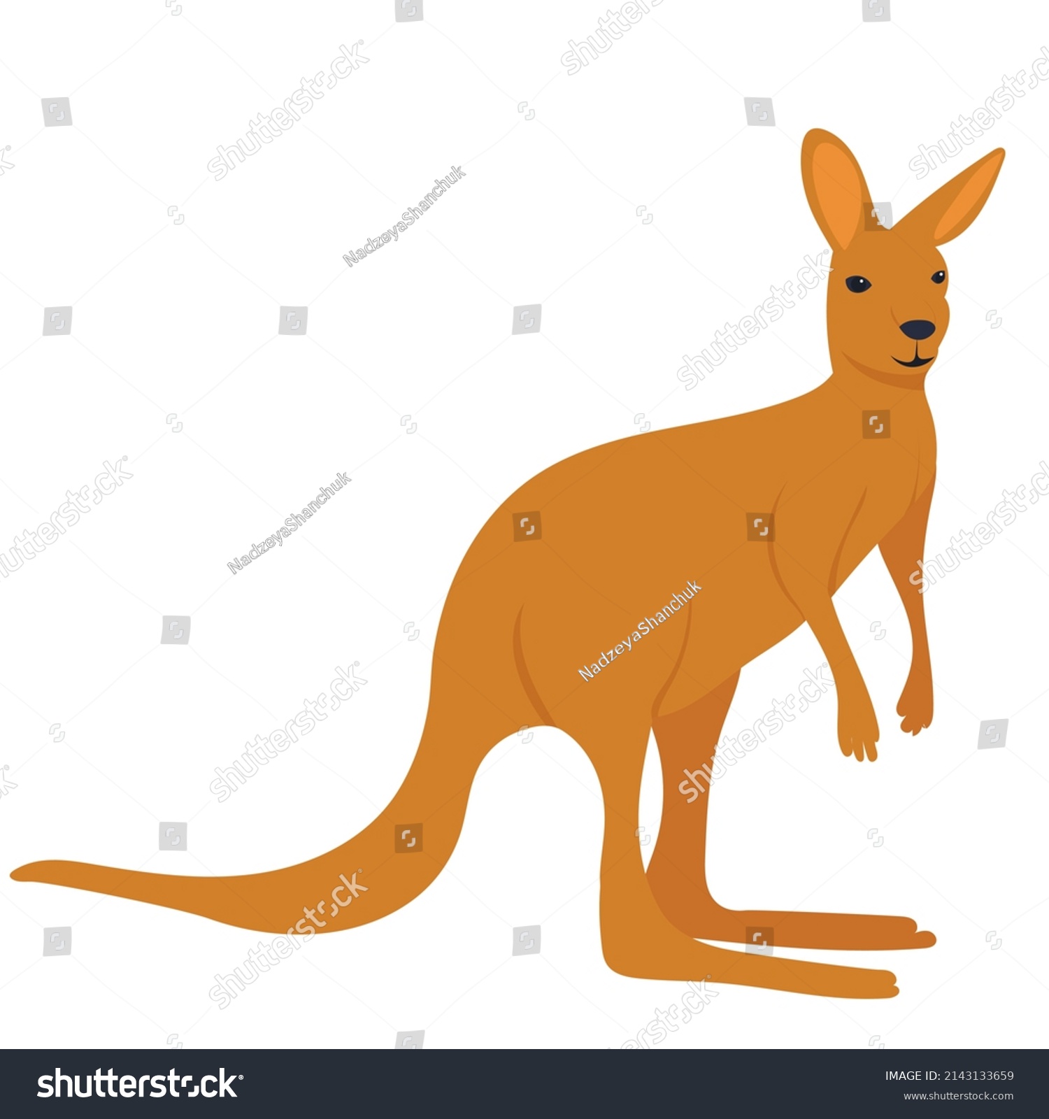 Kangaroo Flat Design Isolated Vector Stock Vector (Royalty Free ...