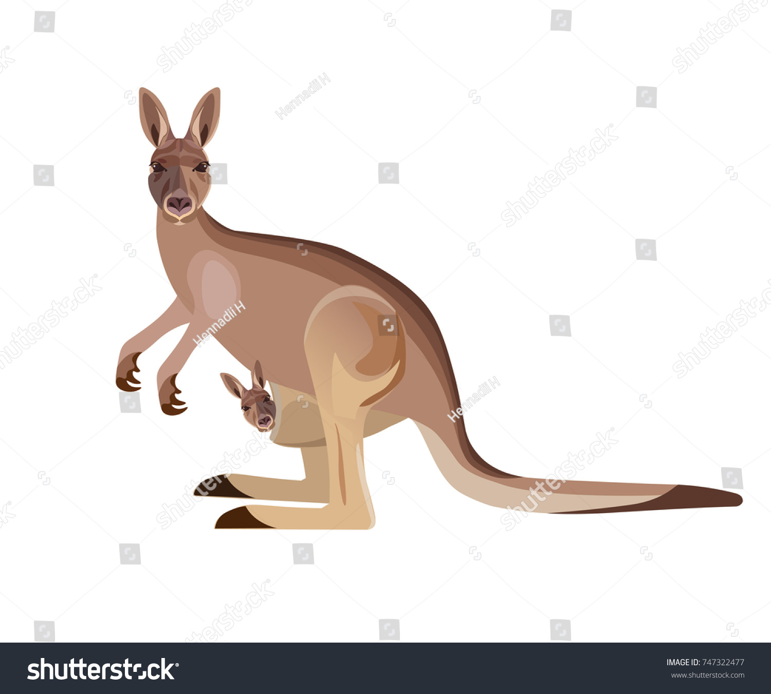 Kangaroo mother with baby Images, Stock Photos & Vectors | Shutterstock