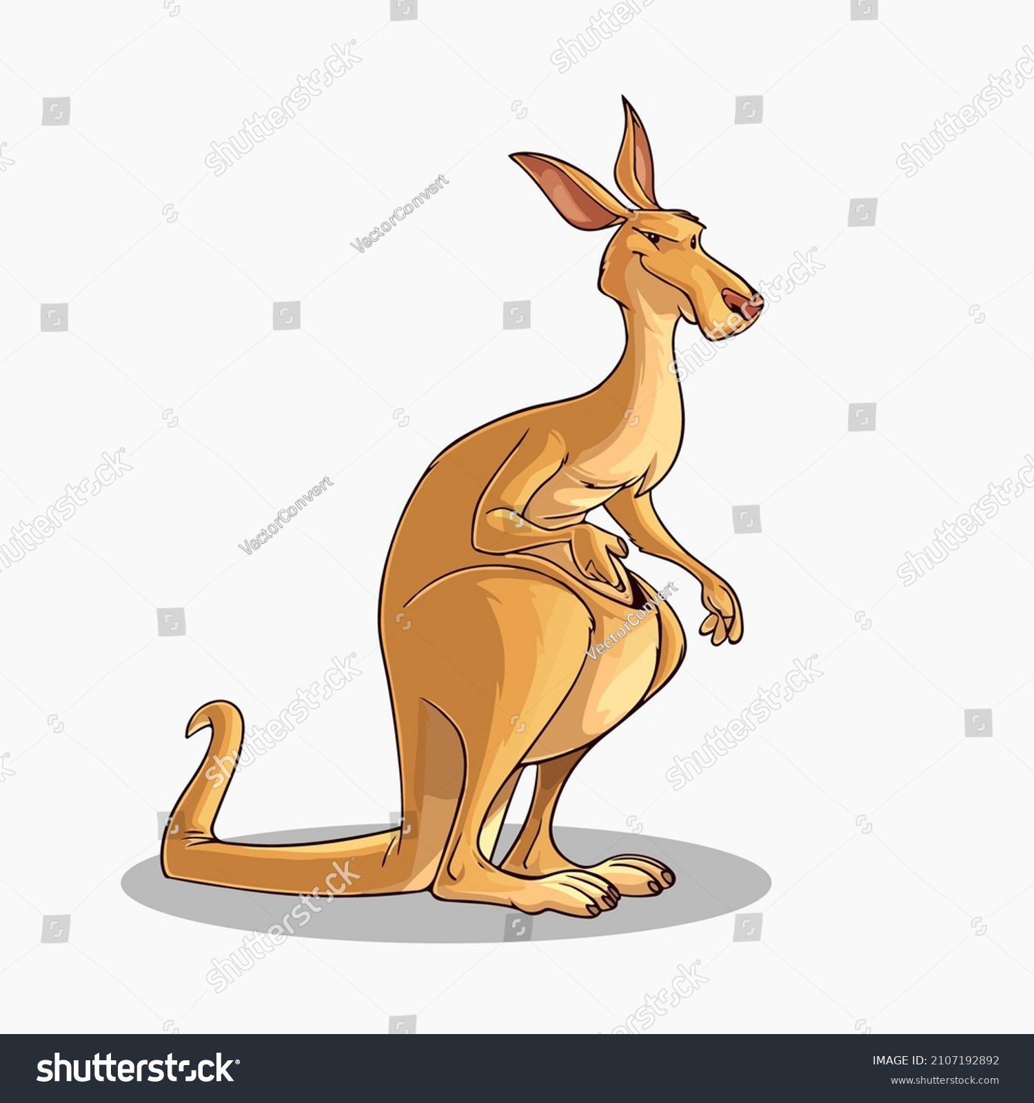 Kangaroo Vector Illustration Cartoon Clipart Stock Vector (Royalty Free ...