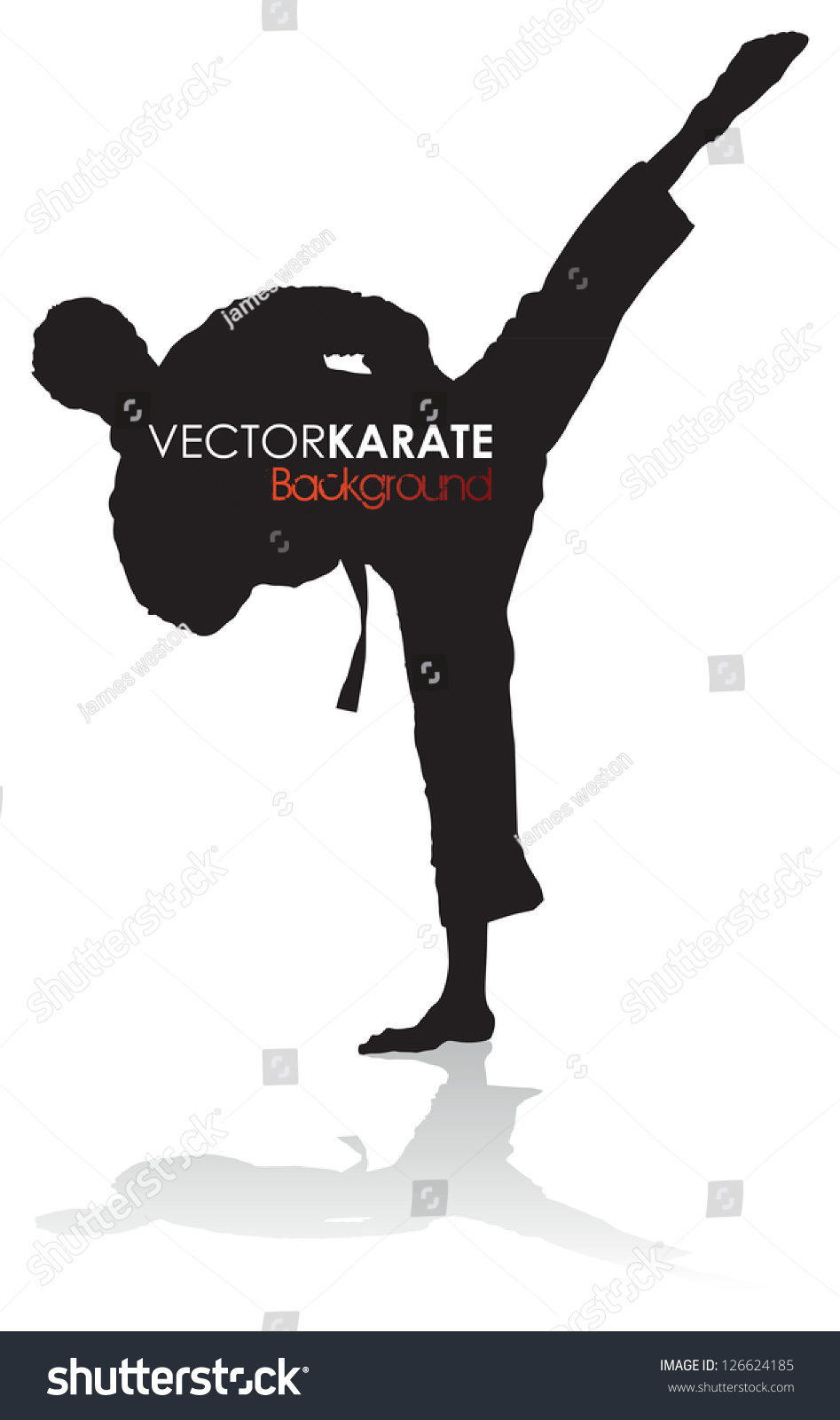 Karate Silhouette Stock Vector Illustration 126624185 : Shutterstock