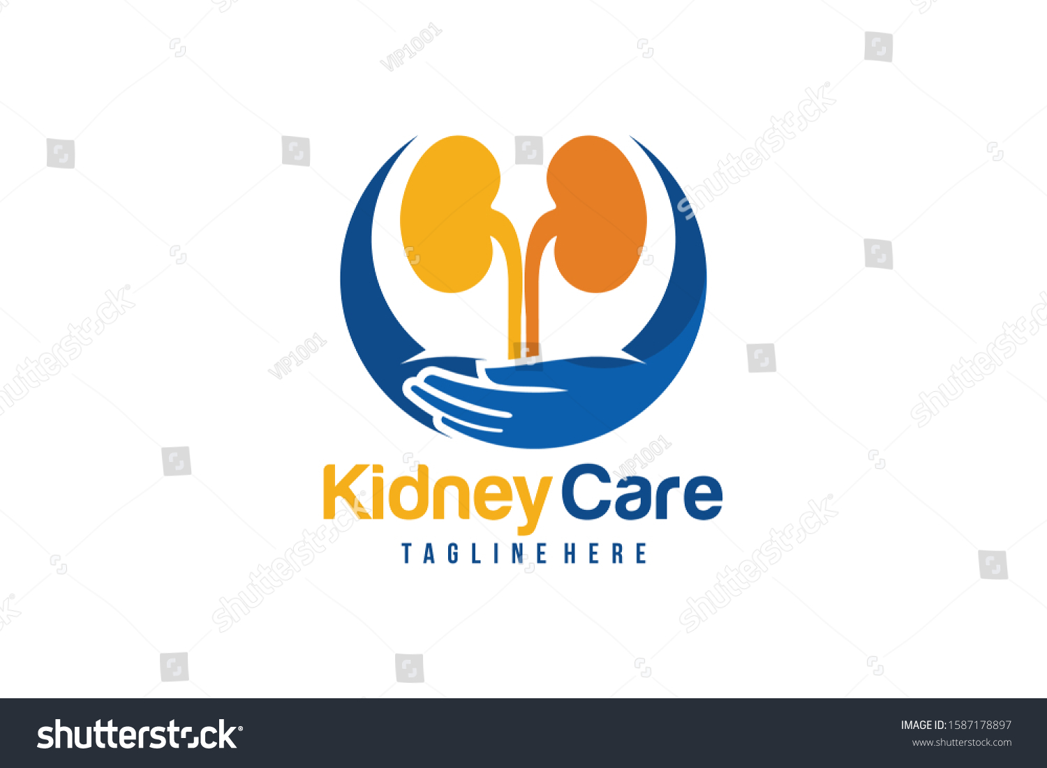 Kidney Care Logo Icon Vector Isolated Stock Vector (Royalty Free ...