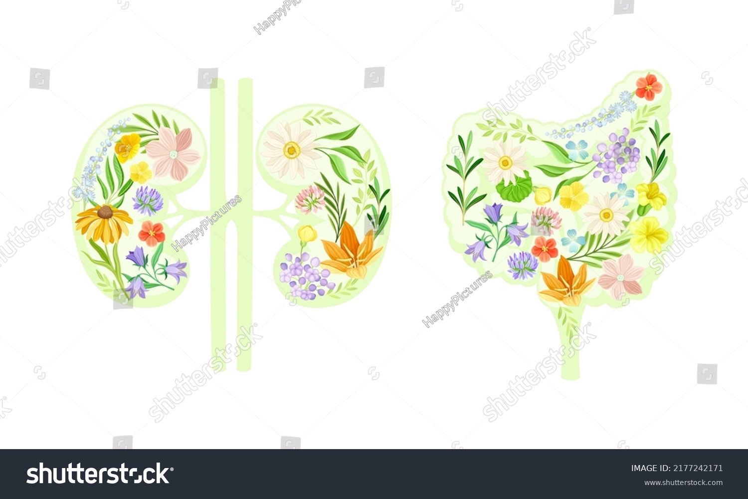 7,368 Kidneys blossom Images, Stock Photos & Vectors | Shutterstock