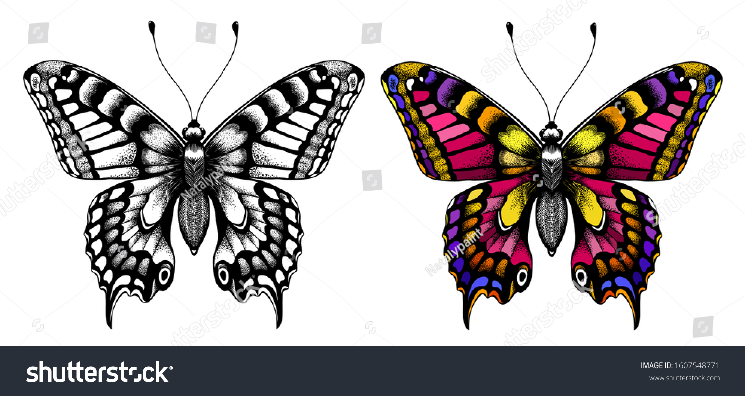 Kids Coloring Page Black White Butterfly Stock Vector Royalty ...
