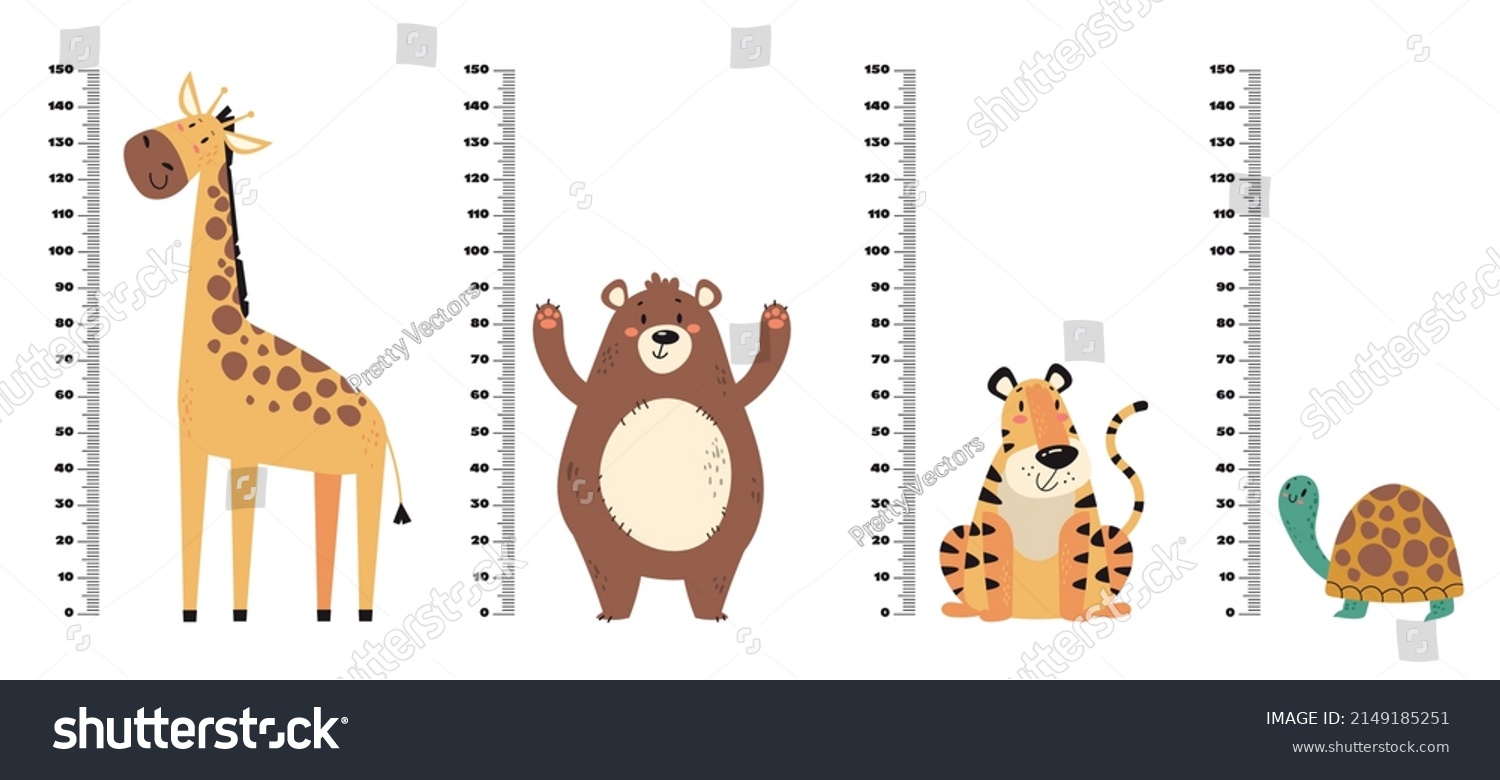 Kids Growth Rulers Jungle Animals Set Stock Vector (Royalty Free ...