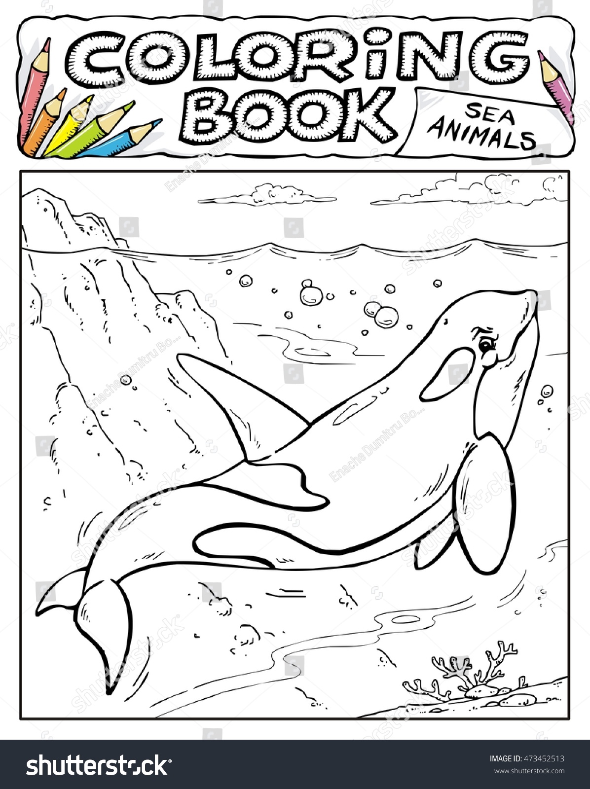 Killer Whale Coloring Book Pages Sea Stock Vector 473452513 Animals