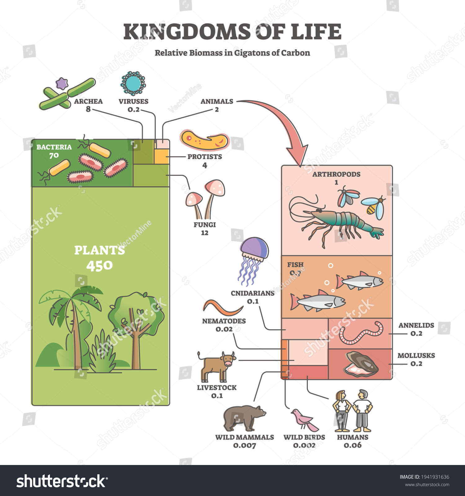 Plant kingdom Images, Stock Photos & Vectors | Shutterstock