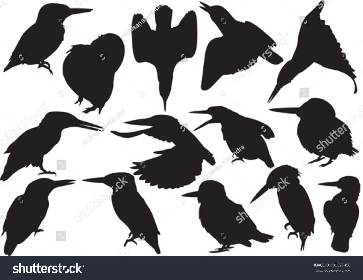 Kingfisher Silhouettes Stock Vector Illustration 189527456 : Shutterstock