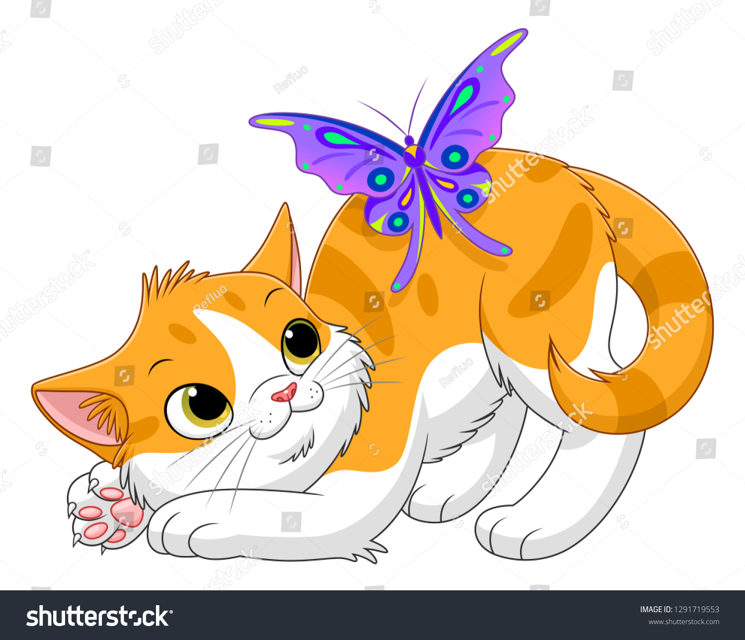 kitten butterfly