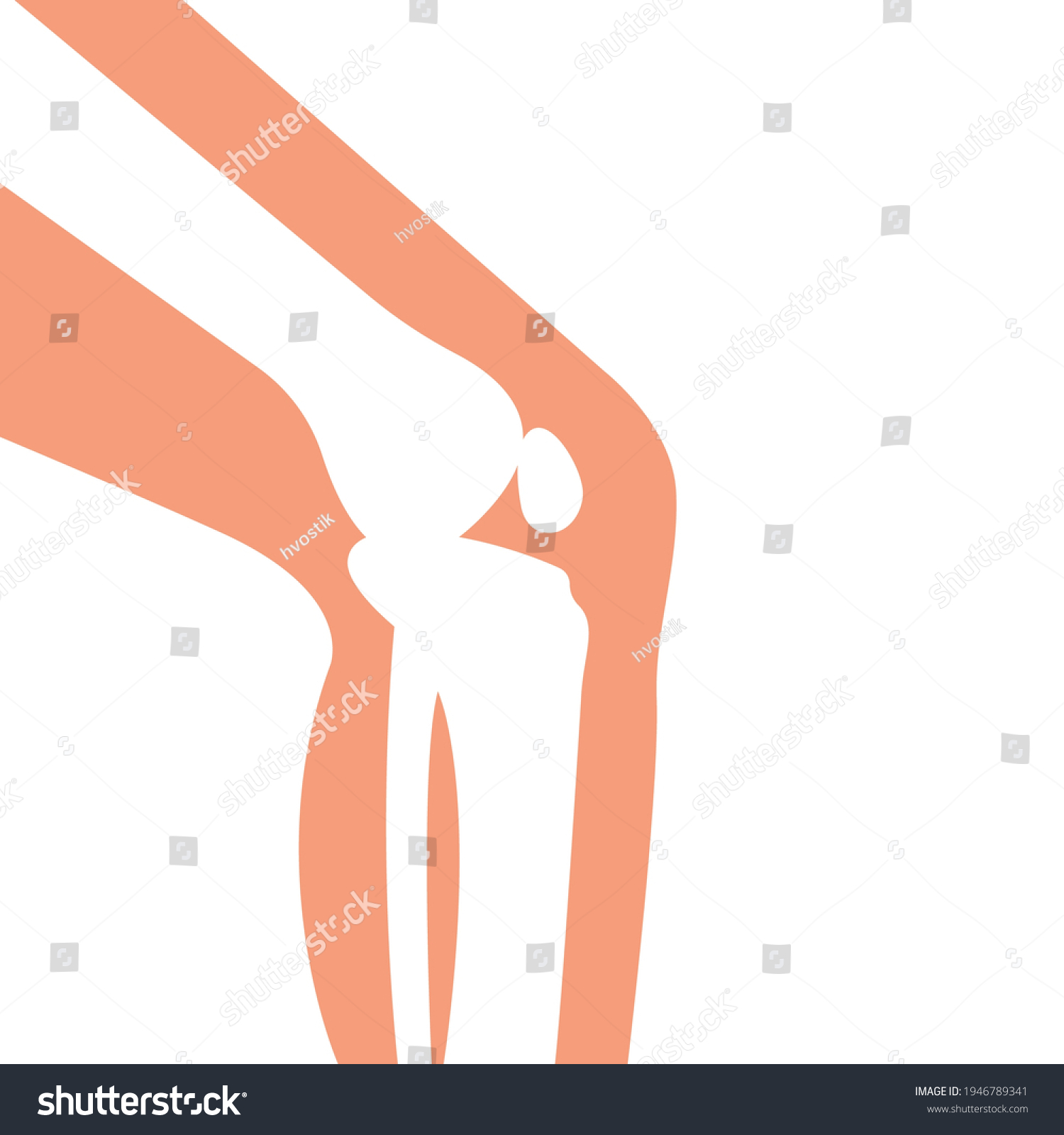 Kneejoint Pictogram Human Knee Silhouette Medicine Stock Vector ...