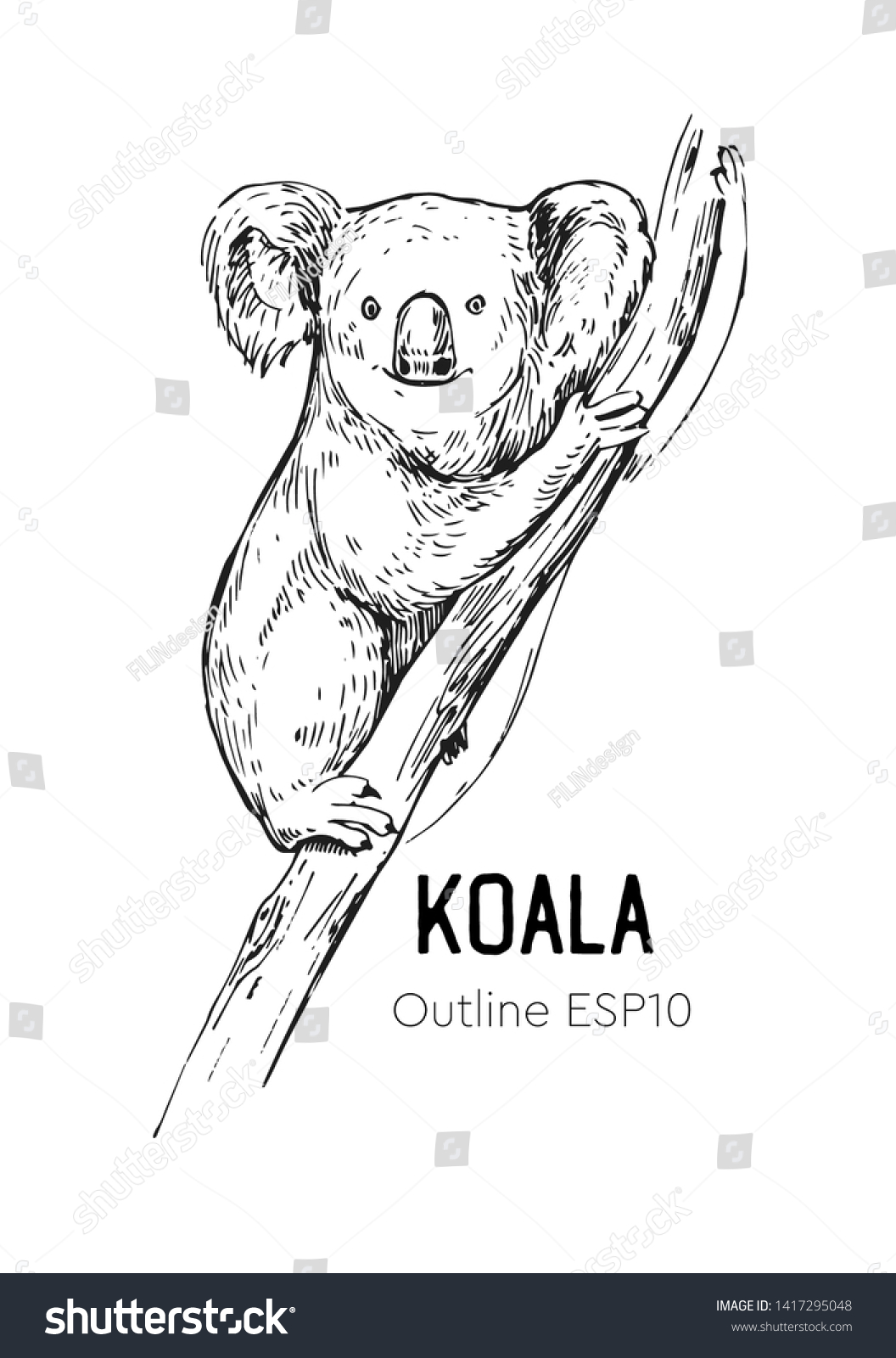 Koala Sketch Hand Drawn Illustration Converted Stock Vector (royalty 