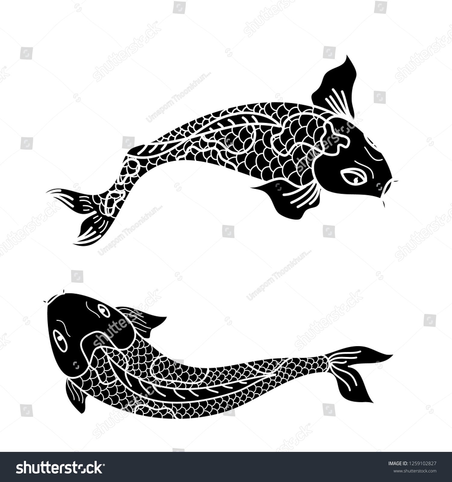 タトゥー用の鯉のベクター画像 日本の鯉の絵 手描きの魚の線画 鯉鯉