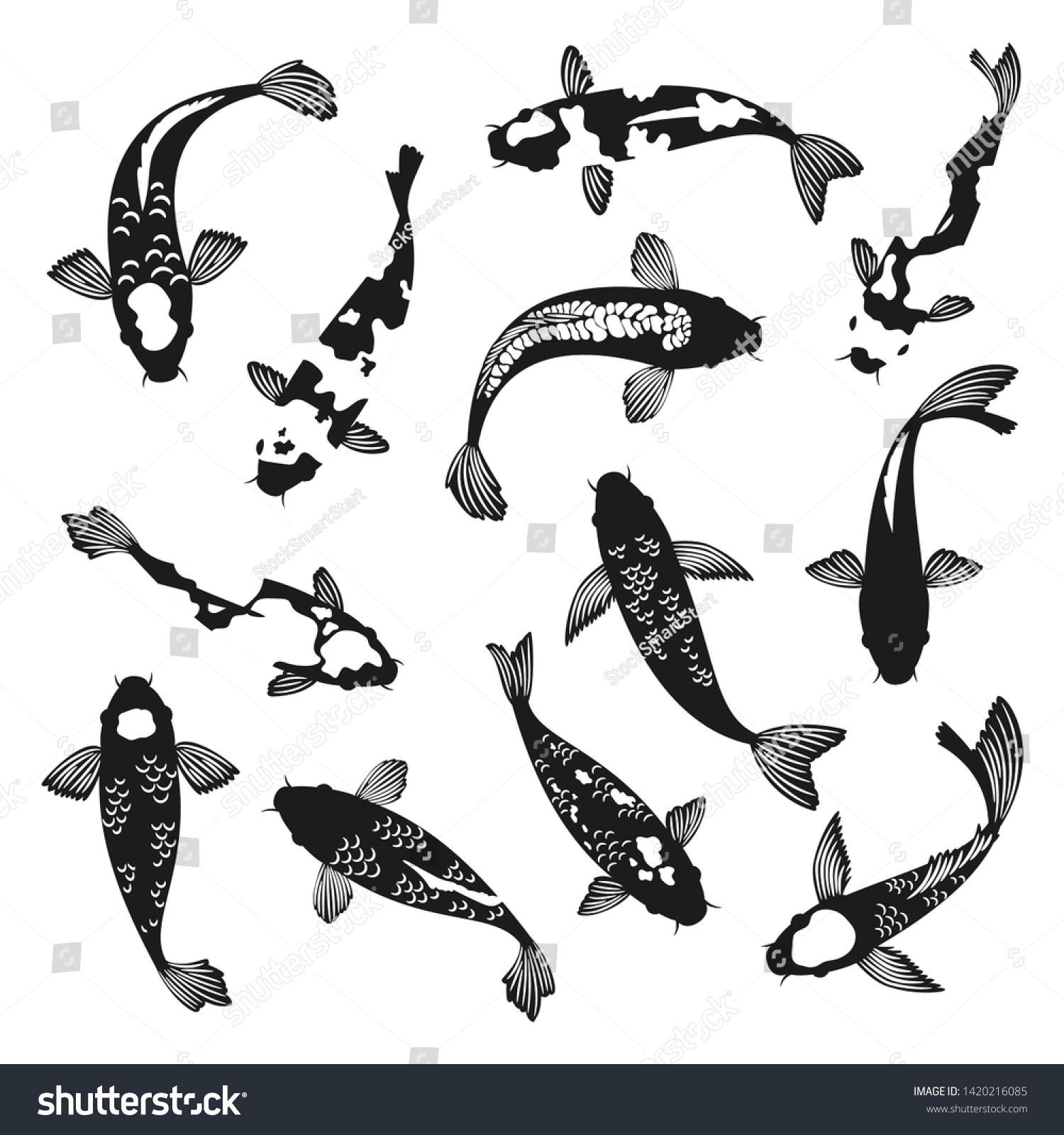 鯉がシルエットになる 白黒の泳ぎ鯉の魚の絵ベクターイラスト アジアの中国や日本の魚のシルエットベクター画像 のベクター画像素材 ロイヤリティフリー