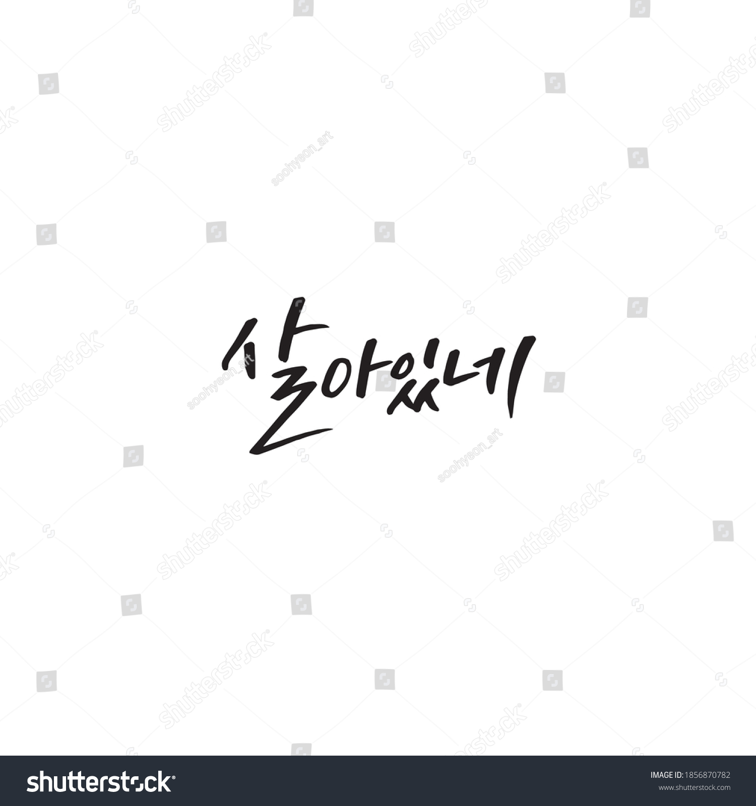 SVG of korea calligraphy hand lettering Busan dialect  Alive sal-aissne svg