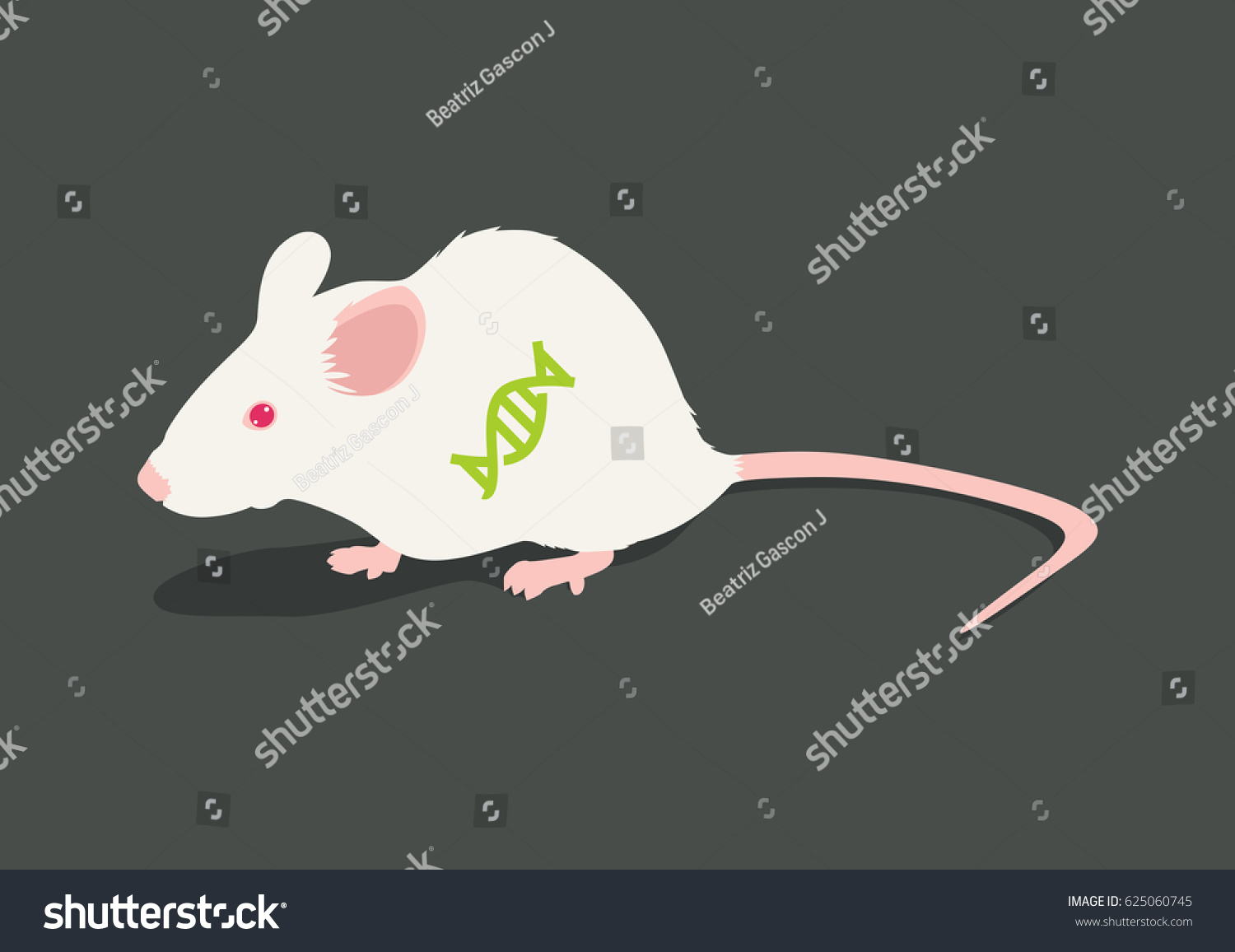 Lab White Rat Vector Illustration Dna 库存矢量图（免版税）625060745 | Shutterstock