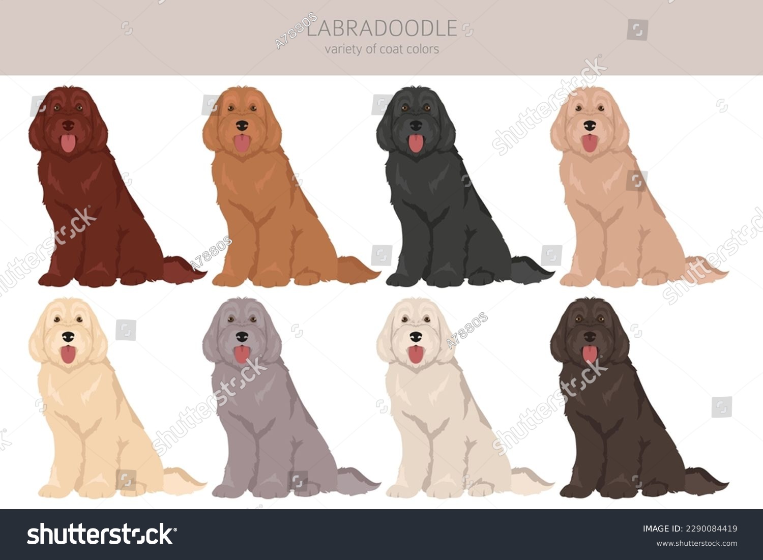 SVG of Labradoodle clipart. Different poses, coat colors set.  Vector illustration svg