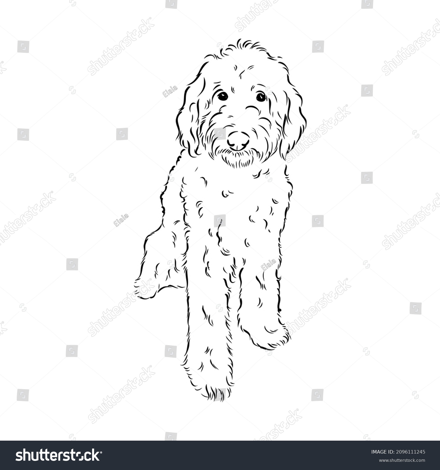SVG of Labradoodle Mix dog - vector isolated illustration on white background svg