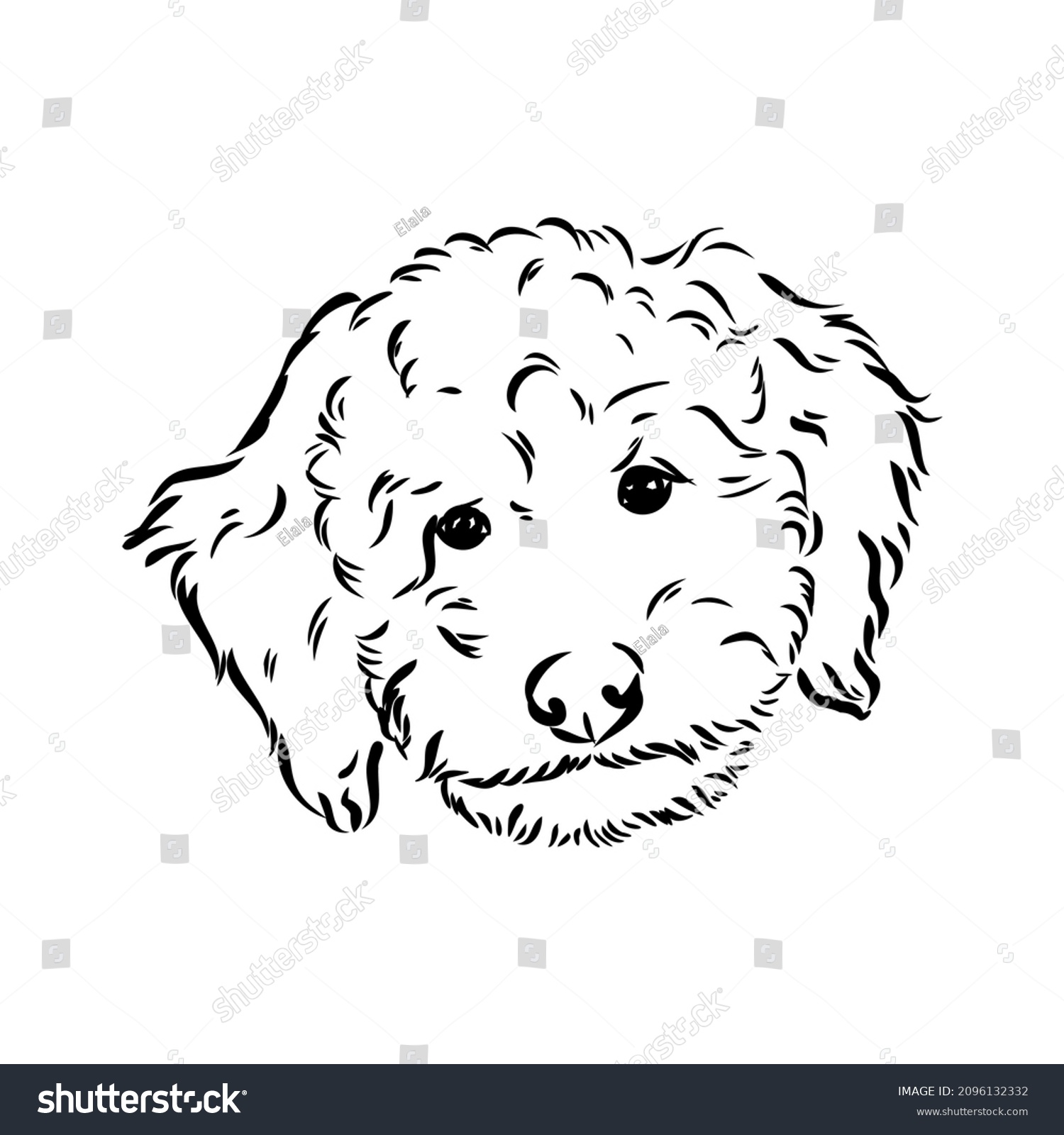 SVG of Labradoodle Mix dog - vector isolated illustration on white background svg
