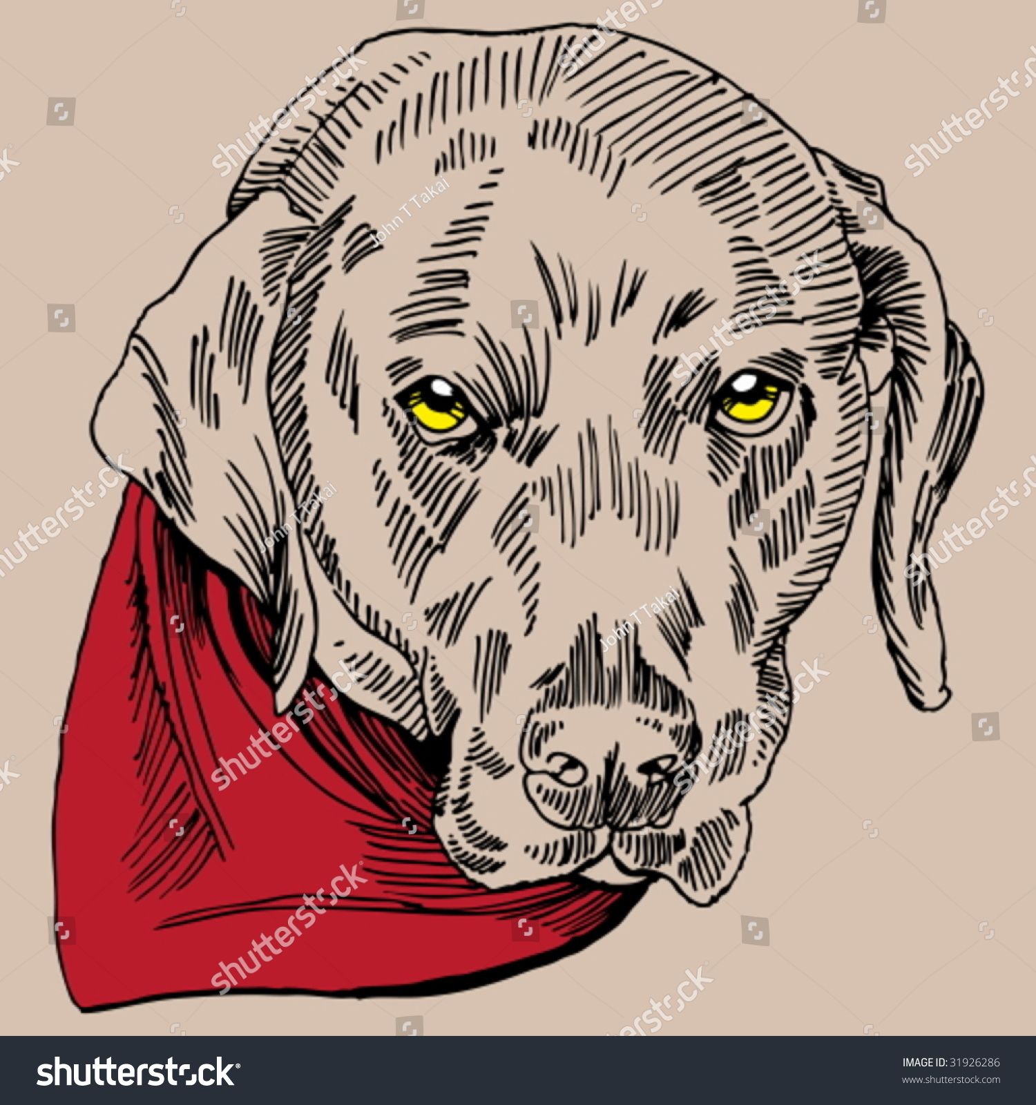 Labrador Dog Stock Vector (Royalty Free) 31926286 - Shutterstock