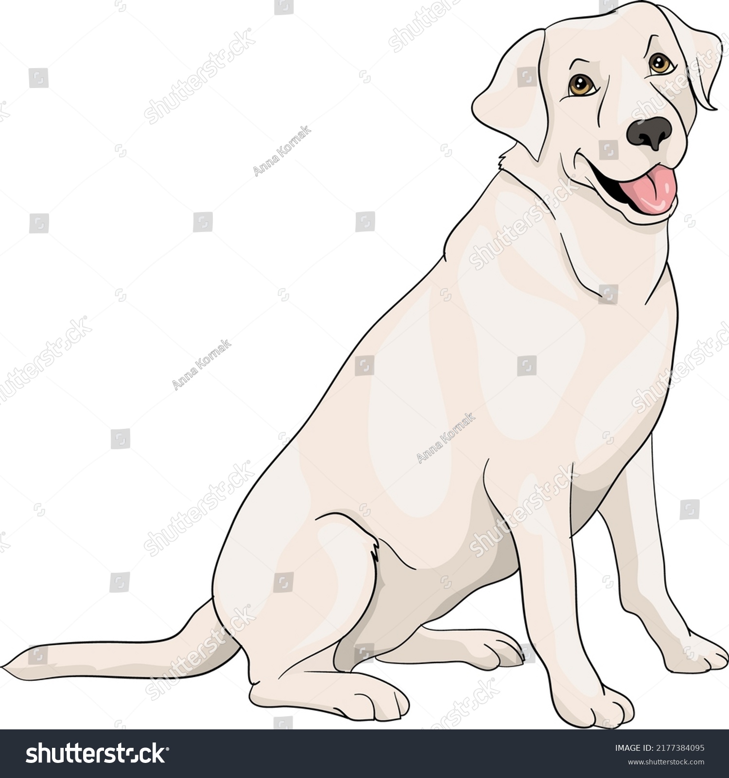 Labrador Golden Retriver Sitting Drawing Vector Stock Vector (Royalty ...