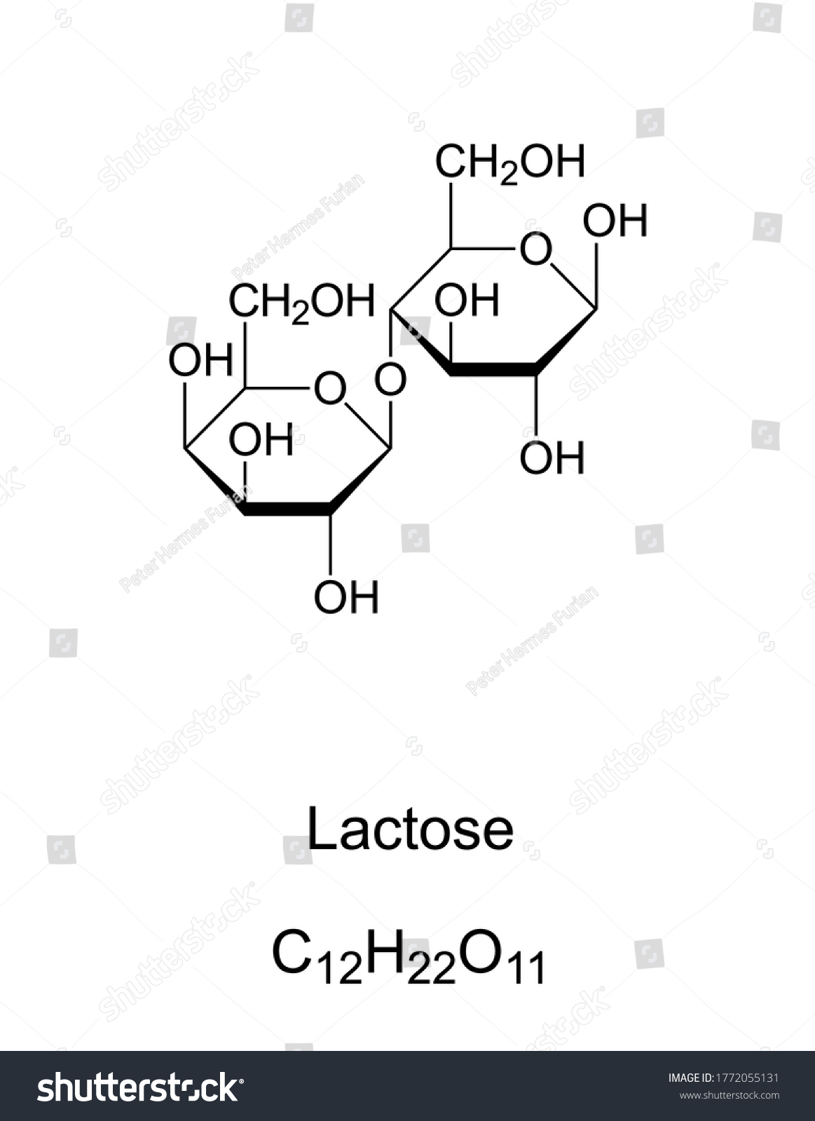 SVG of Lactose, milk sugar, chemical structure. A disaccharide composed of the two monosaccharides galactose and glucose. Found in dairy products. Lactose composes up to 8 percent of milk by weight. Vector. svg