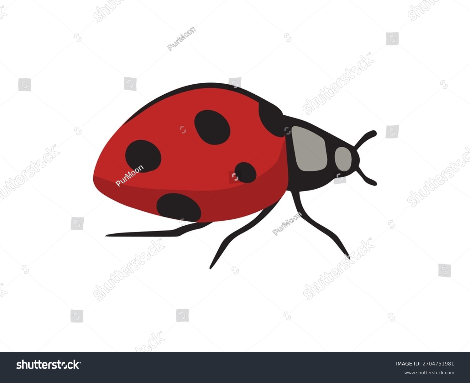 red ladybug with black spots on white clip art preview