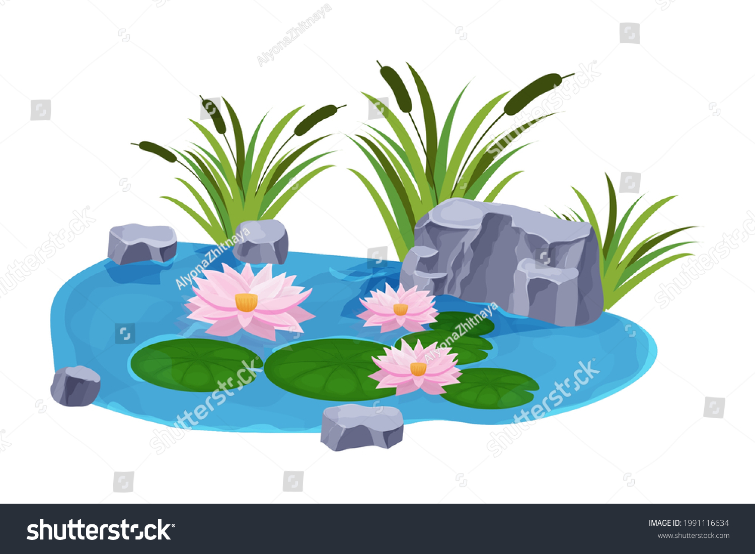 Lake Calm Water Lily Flowers Bulrush Stock Vector (Royalty Free ...