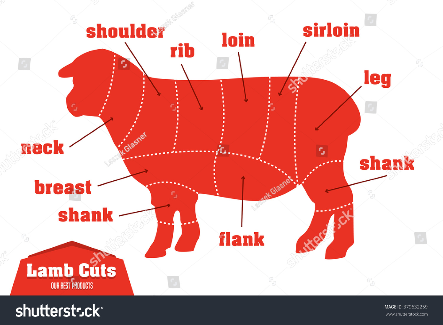 Suchen Sie Nach Lamb Cuts Infographic Set Meat Parts Stockbildern In Hd Und Millionen Weiteren Lizenzfreien Stockfotos Illustrationen Und Vektorgrafiken In Der Shutterstock Kollektion Jeden Tag Werden Tausende Neue Hochwertige Bilder Hinzugefugt