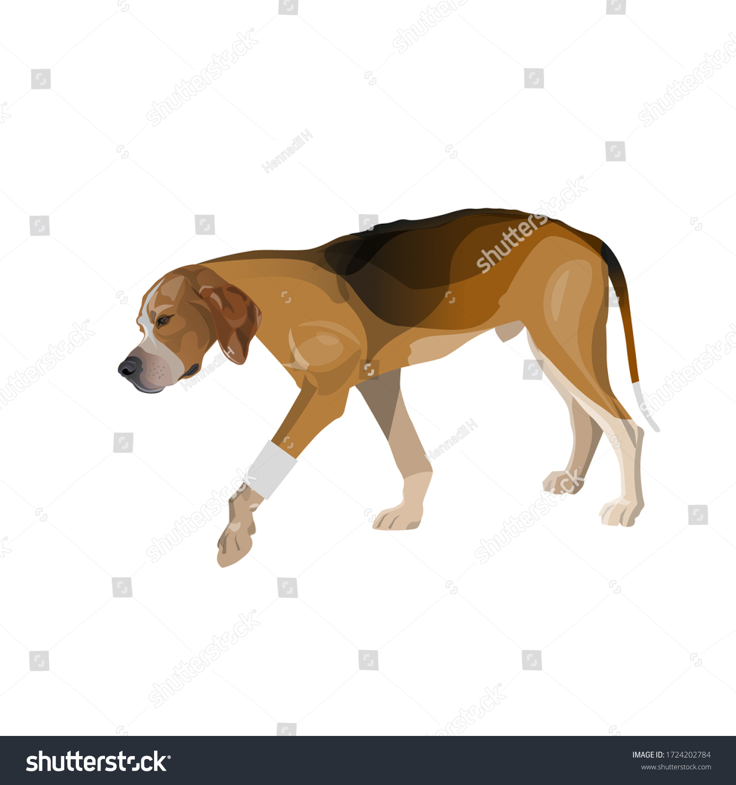SVG of Lame dog walks with a bandaged paw. Vector illustration isolated on white background svg
