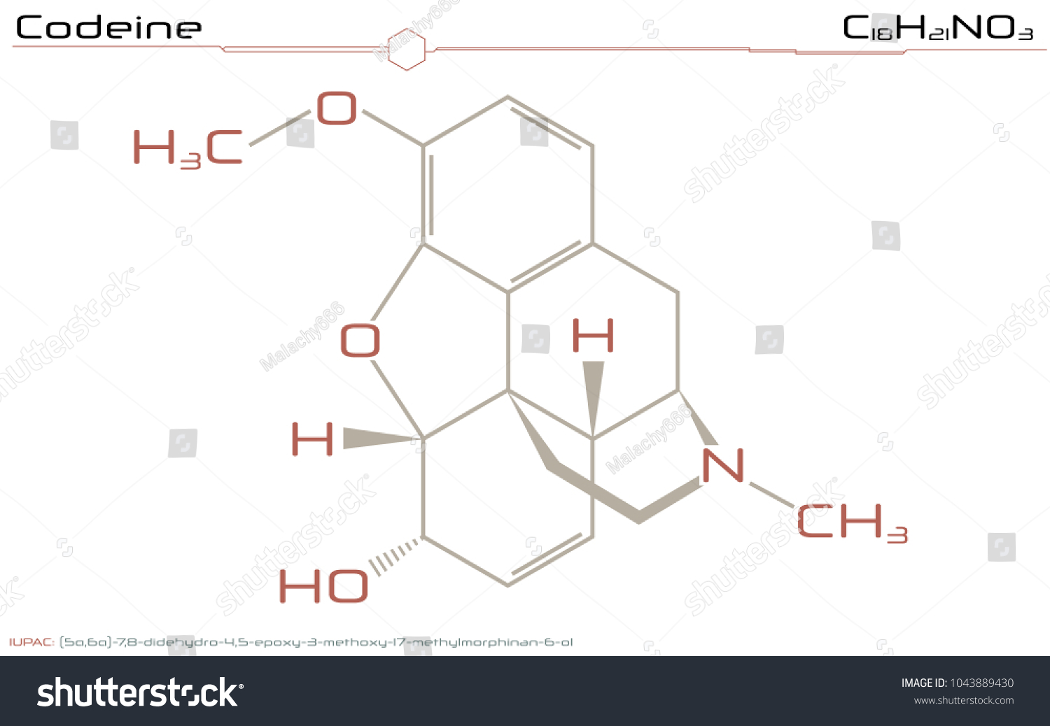 SVG of Large and detailed infographic of the molecule of Codeine svg