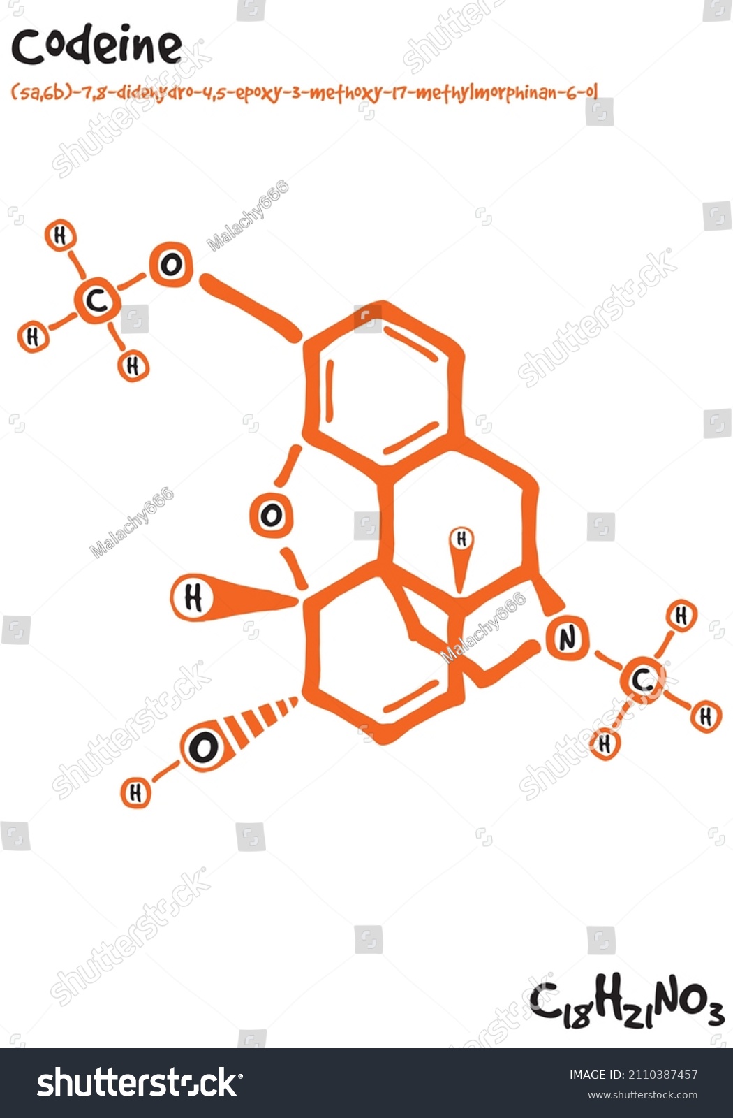 SVG of Large and detailed isolated drawn molecule and formular of Codeine. svg