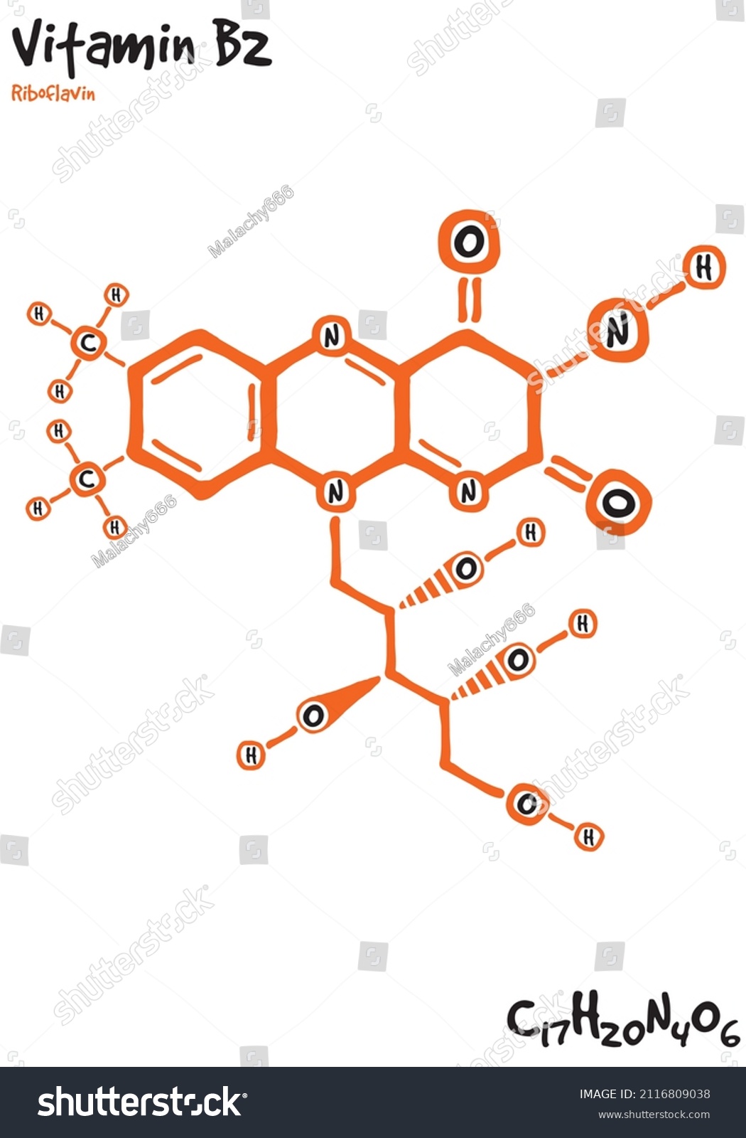 Large Detailed Isolated Drawn Molecule Formular Stock Vector Royalty Free