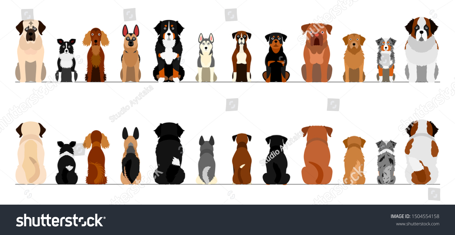 Large Dogs Border Border Set Full Stock Vector (Royalty Free ...