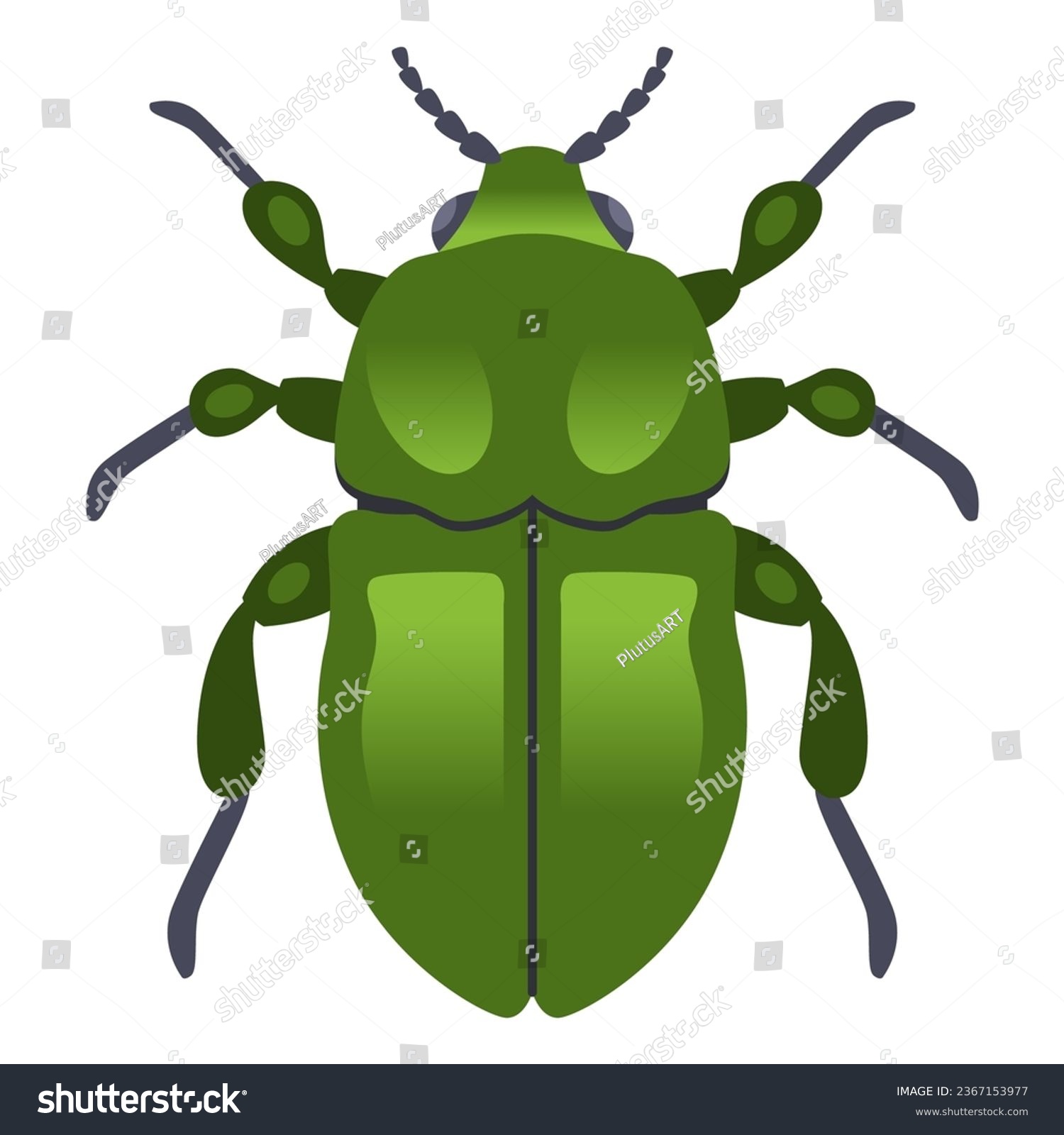 SVG of large green dung beetle. flat vector illustration svg
