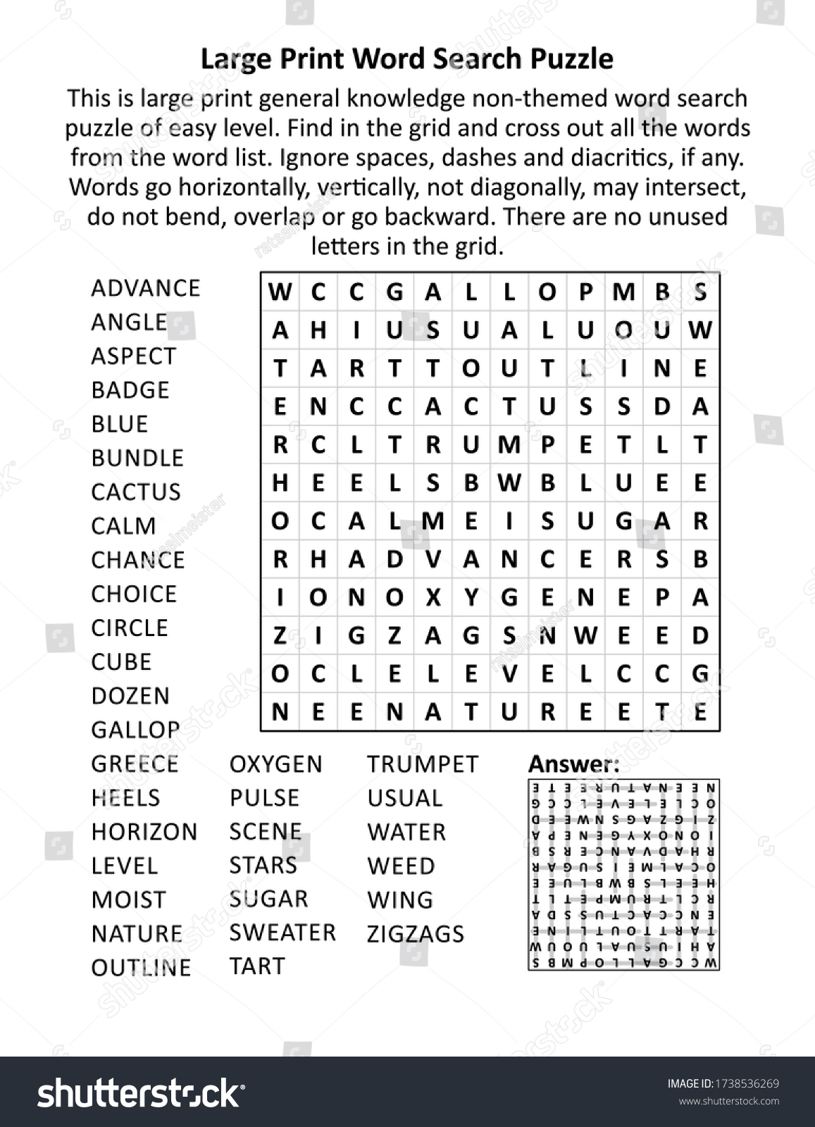 large-print-general-knowledge-word-search