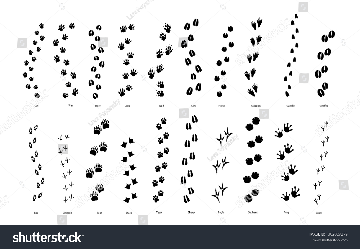 SVG of Large set of animal and bird trace steps imprints isolated on white svg