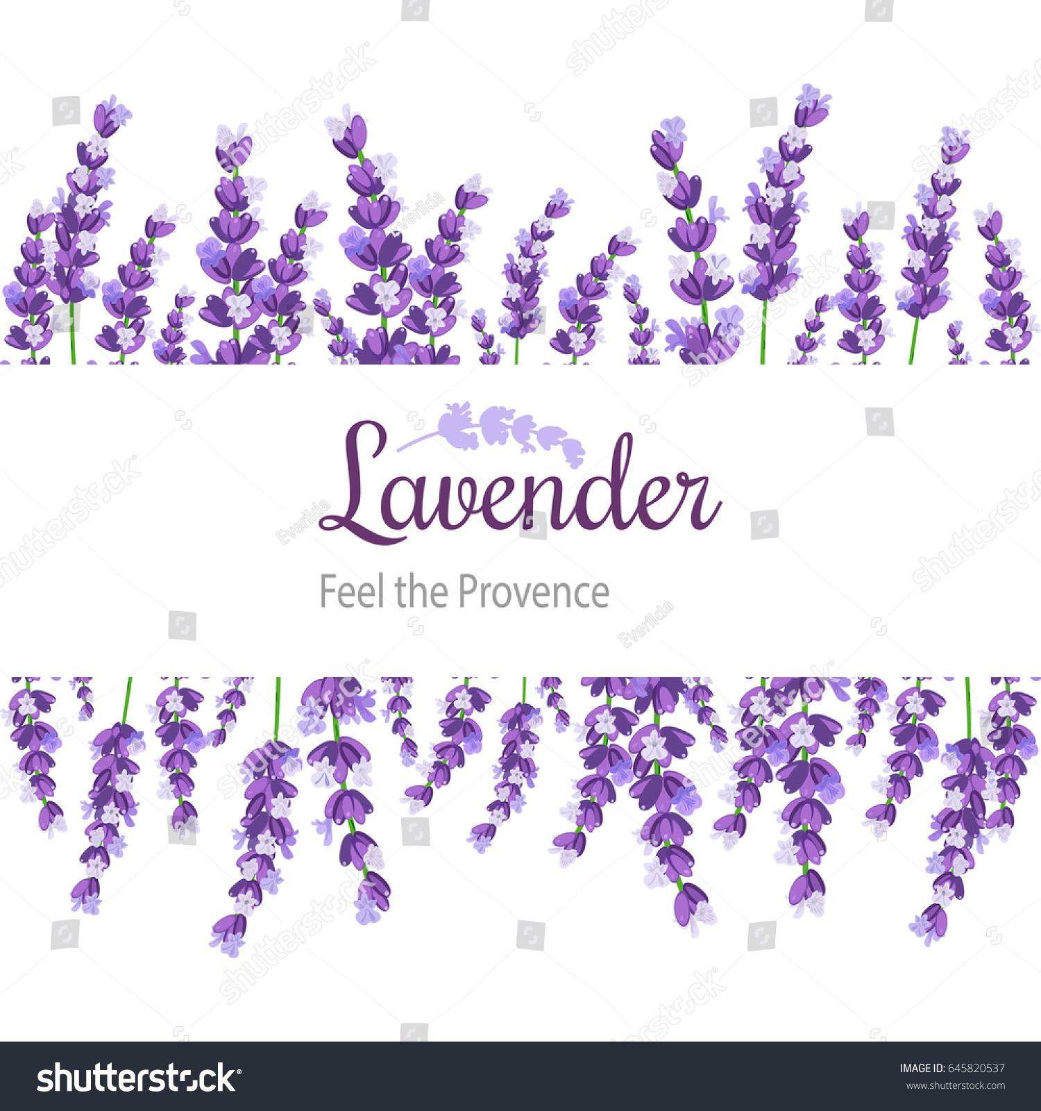 Lavender Card Flowers Vintage Label Provence Stock Vector 645820537 ...