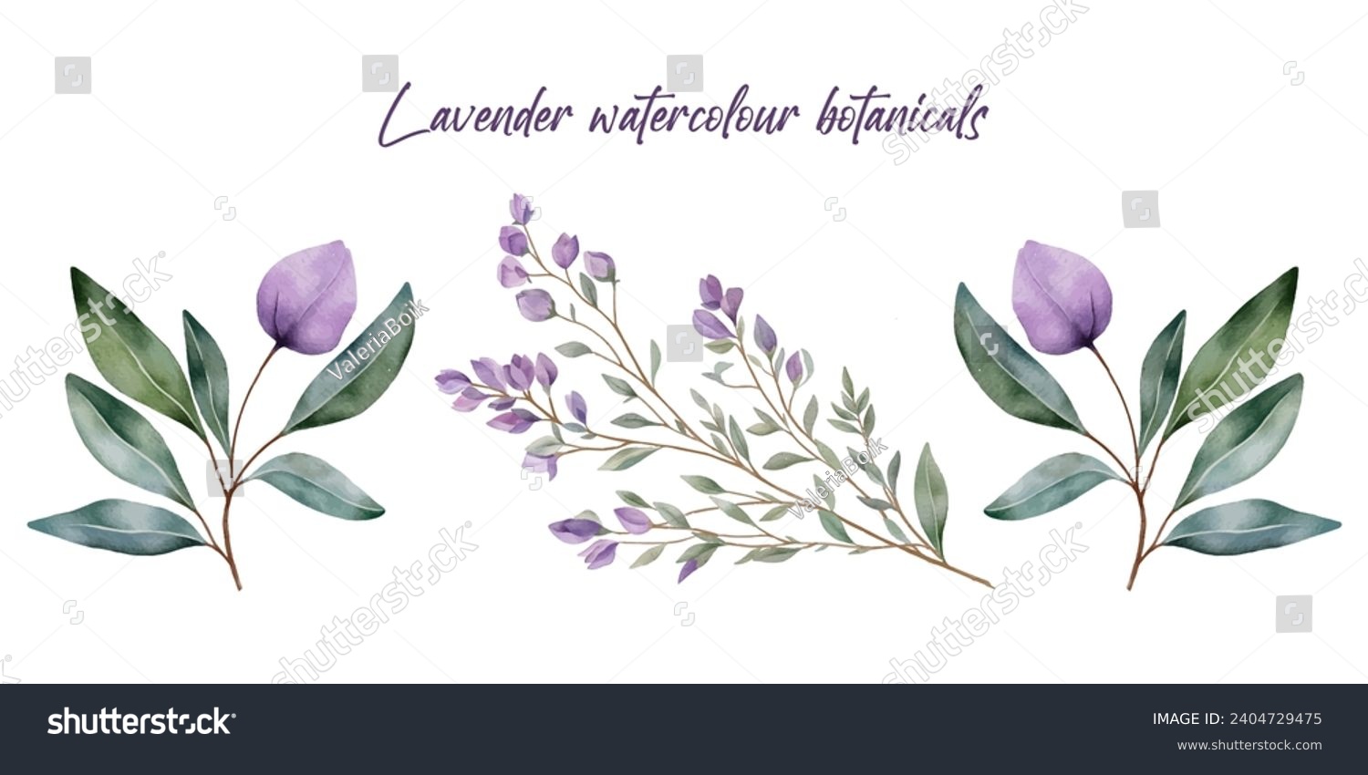 SVG of Lavender flowers collection. Vector watercolour purple botanical elements.  svg