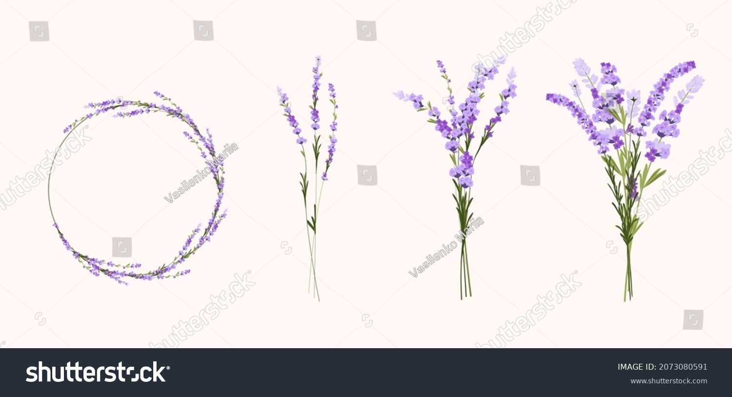 SVG of Lavender set vector stock illustration. A bouquet of lilac flowers. Round frame wreath of purple buds. Lilac twigs. svg