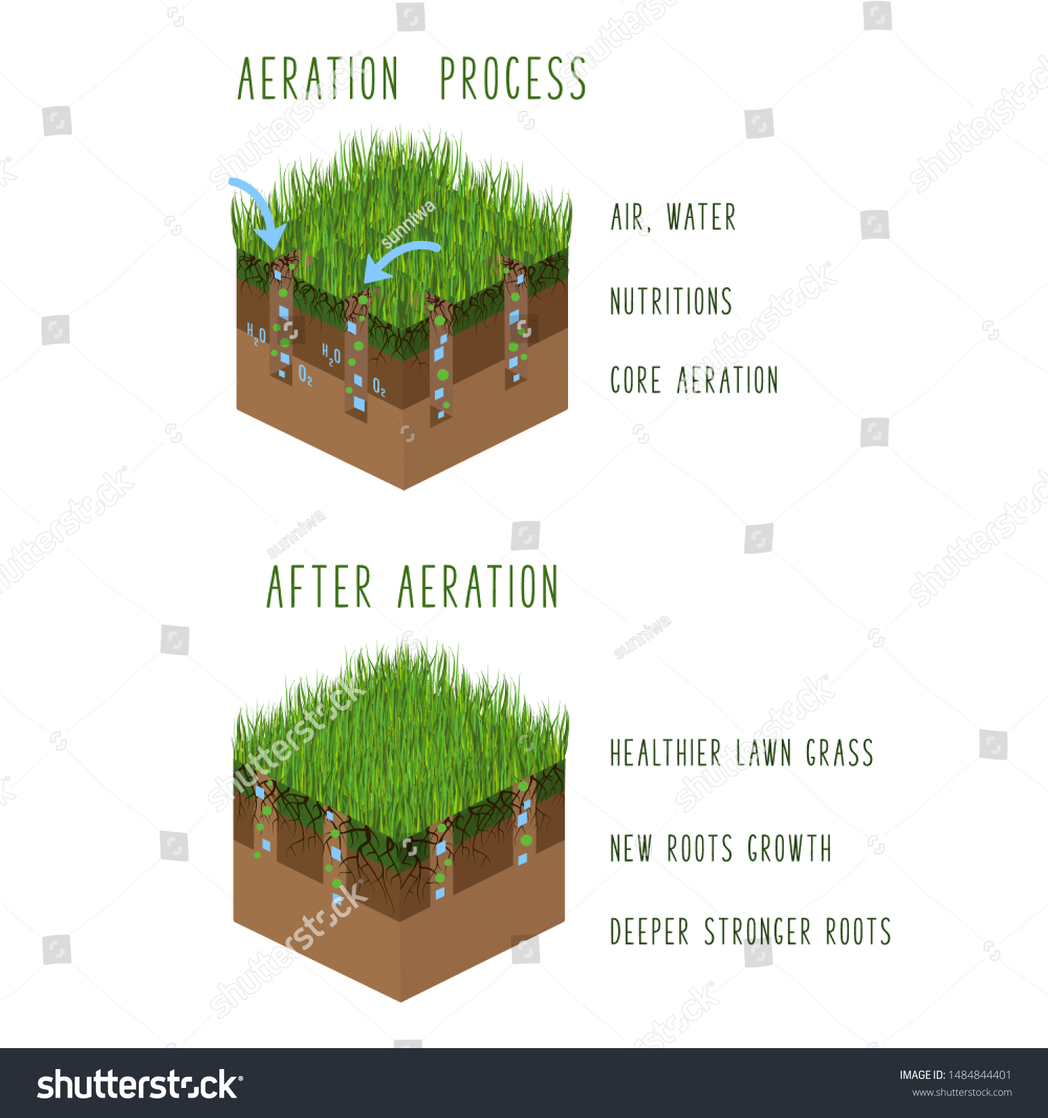 lawn care process