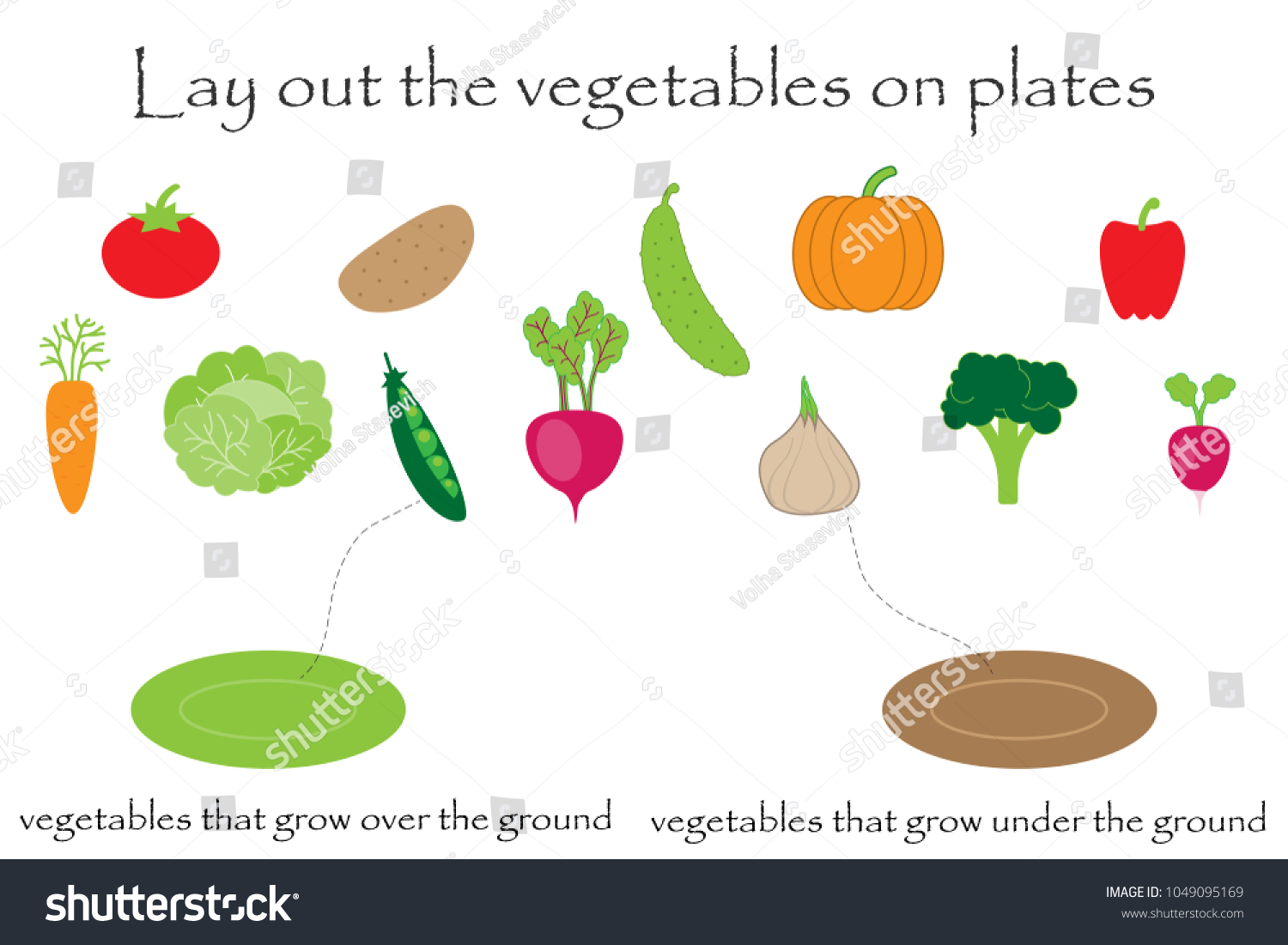 Lay Out Vegetables Cartoon Style On Stock Vector Royalty Free