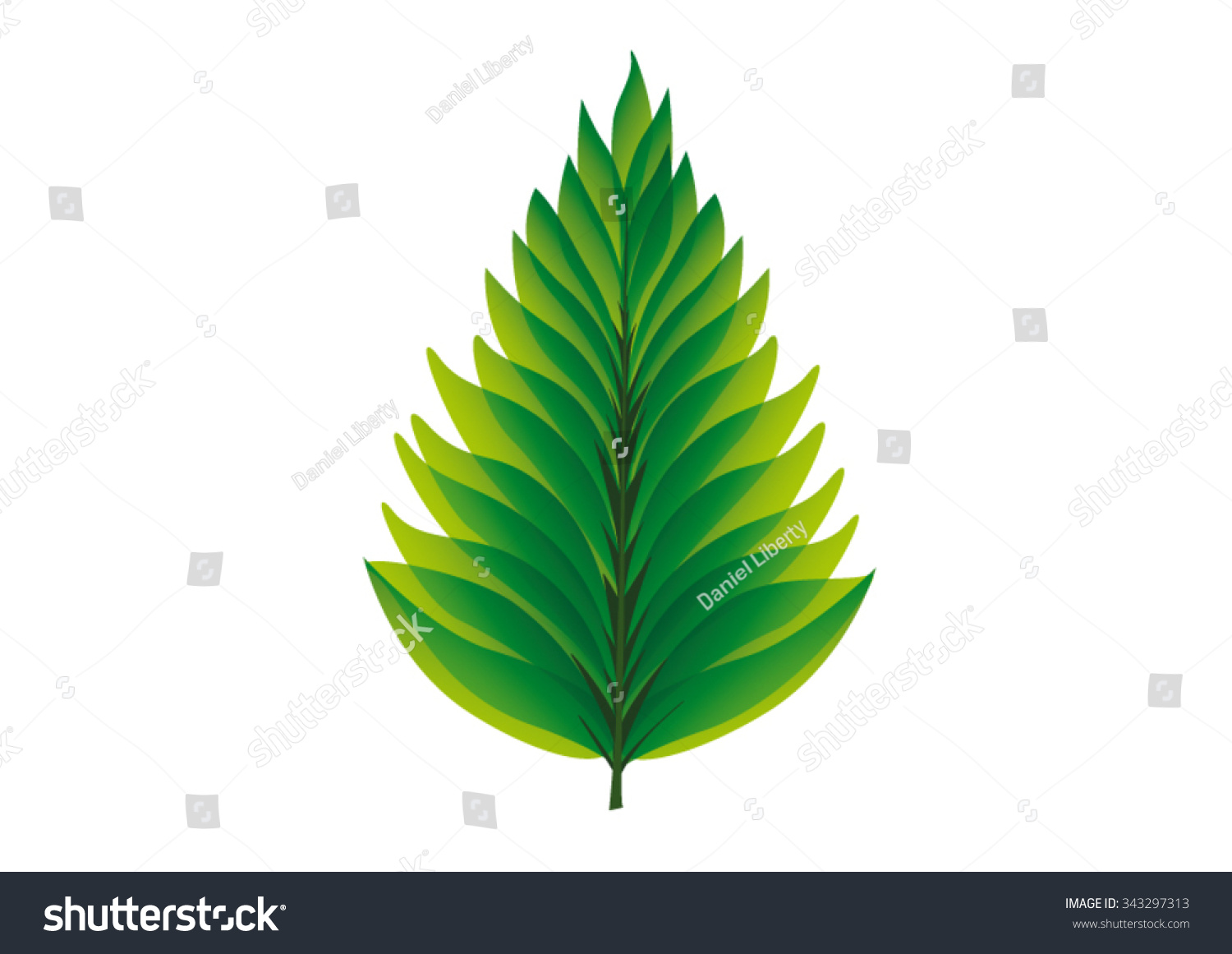 Leaf Of Tree Stock Vector Illustration 343297313 : Shutterstock