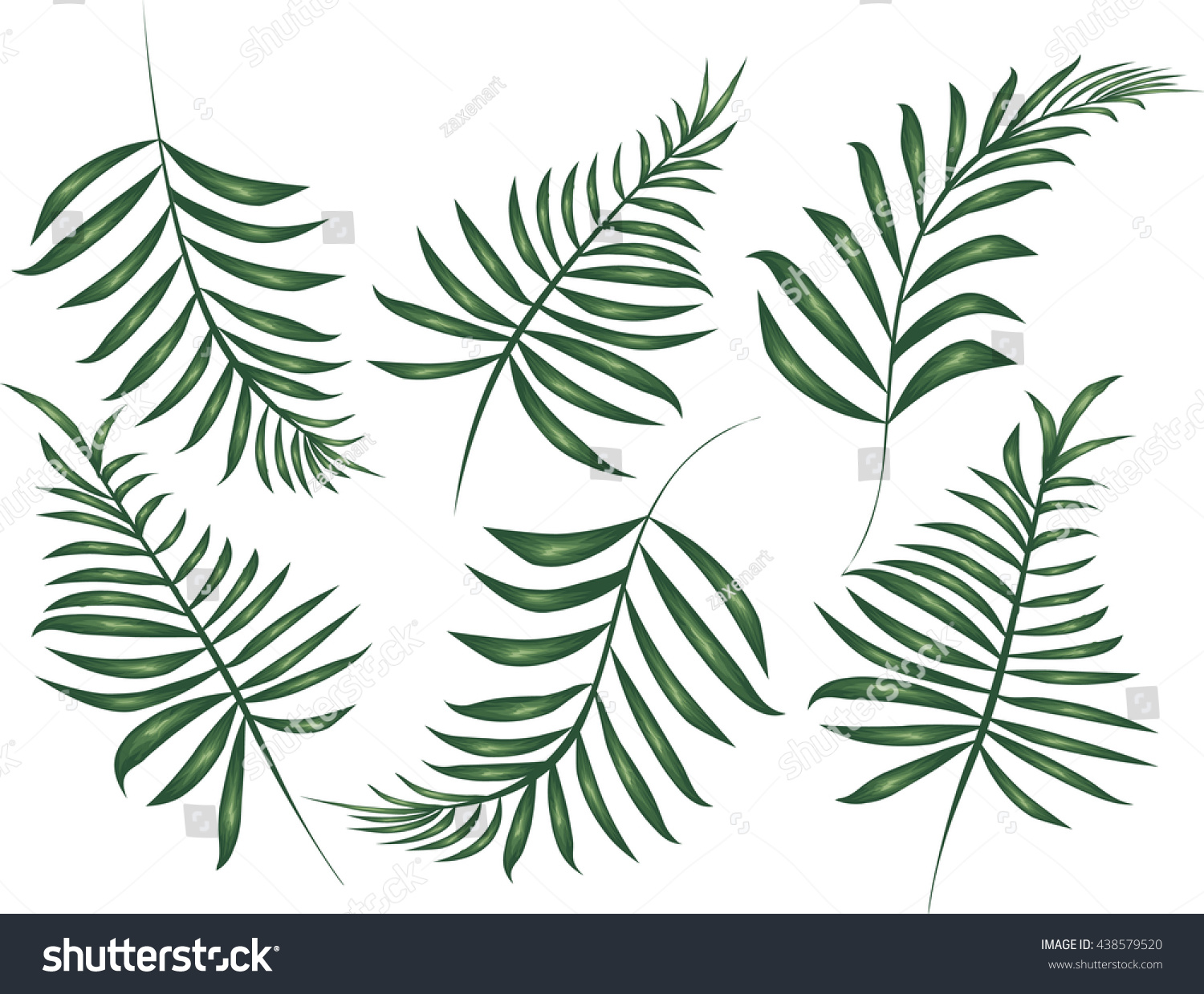 Leaf Palm Tree Stock Vector 438579520 - Shutterstock