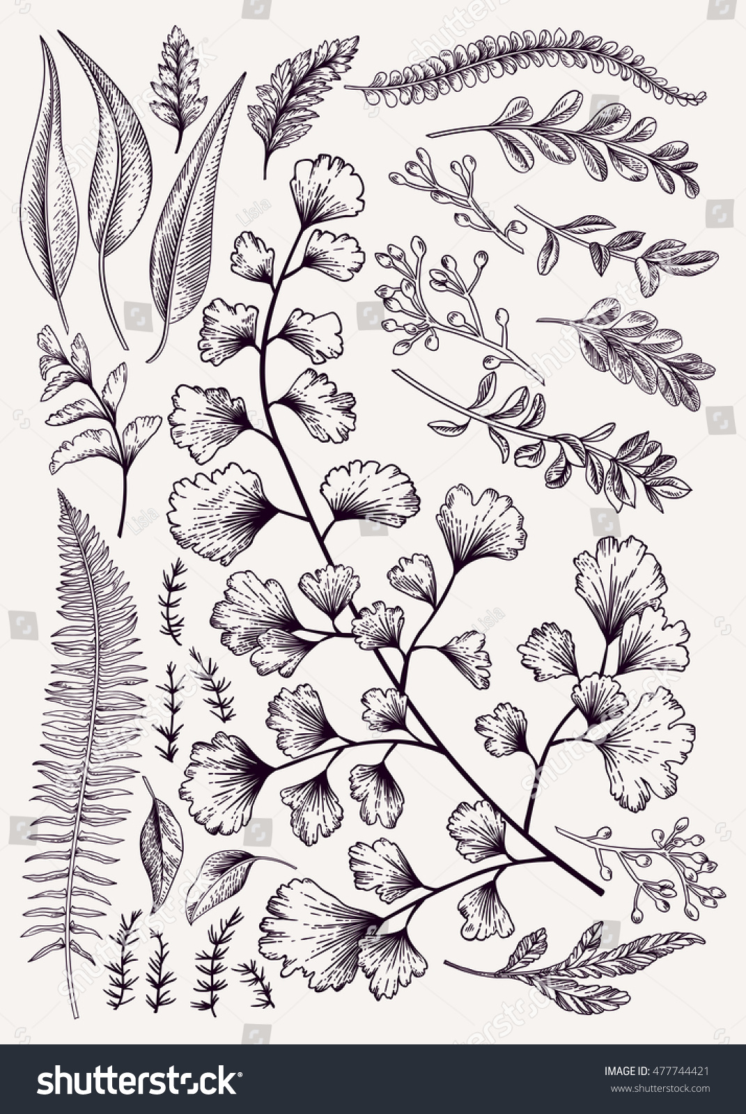 Leaf Set Vintage Floral Background Vector Stock Vector Royalty Free 477744421 Leaf Set Vintage Floral Background Vector Stock Vector Royalty Free 477744421