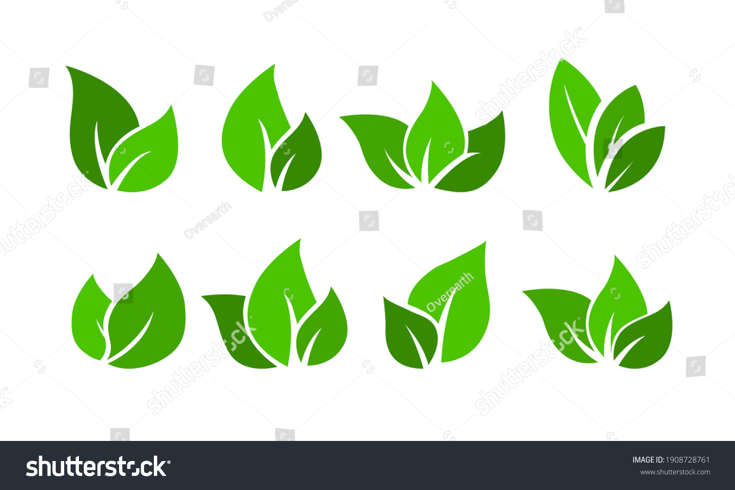 Leaves Vector Set Collection Green Leaf Stock Vector Royalty Free 1908728761 Leaves Vector Set Collection Green Leaf Stock Vector Royalty Free 1908728761