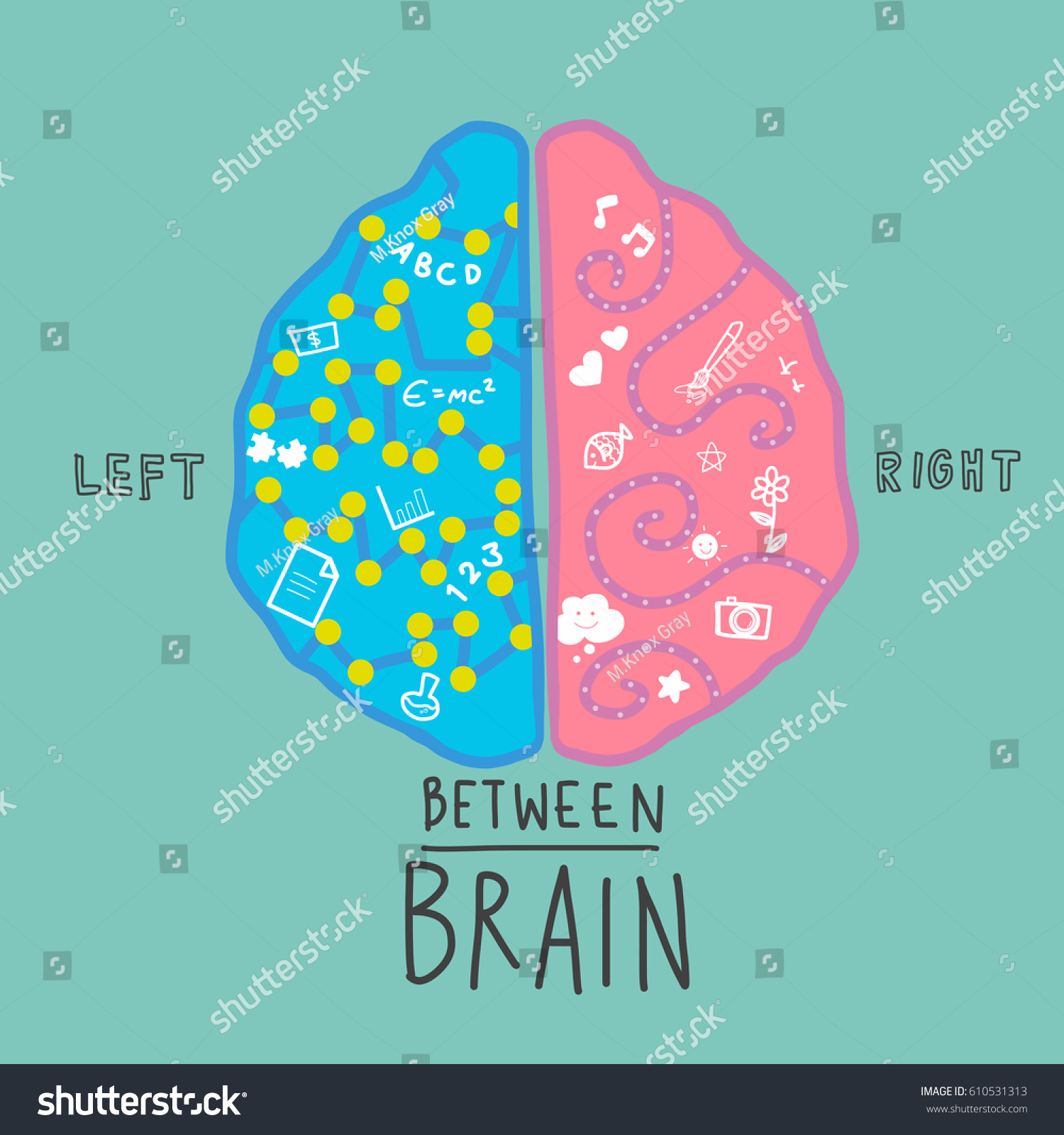 Left Right Brain Infographic Vector Illustration Vector De Stock Libre De Regalías 610531313