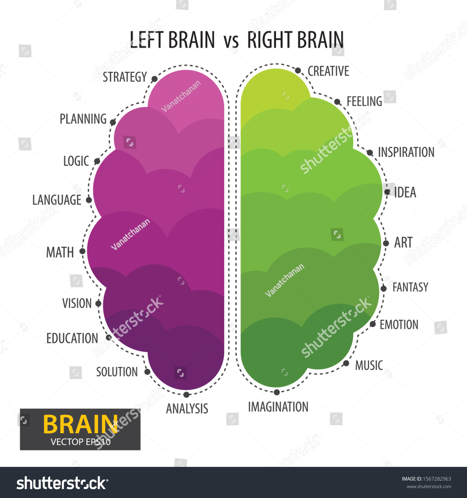 Left Right Human Brain Concept Infographics Stock Vector (Royalty Free ...