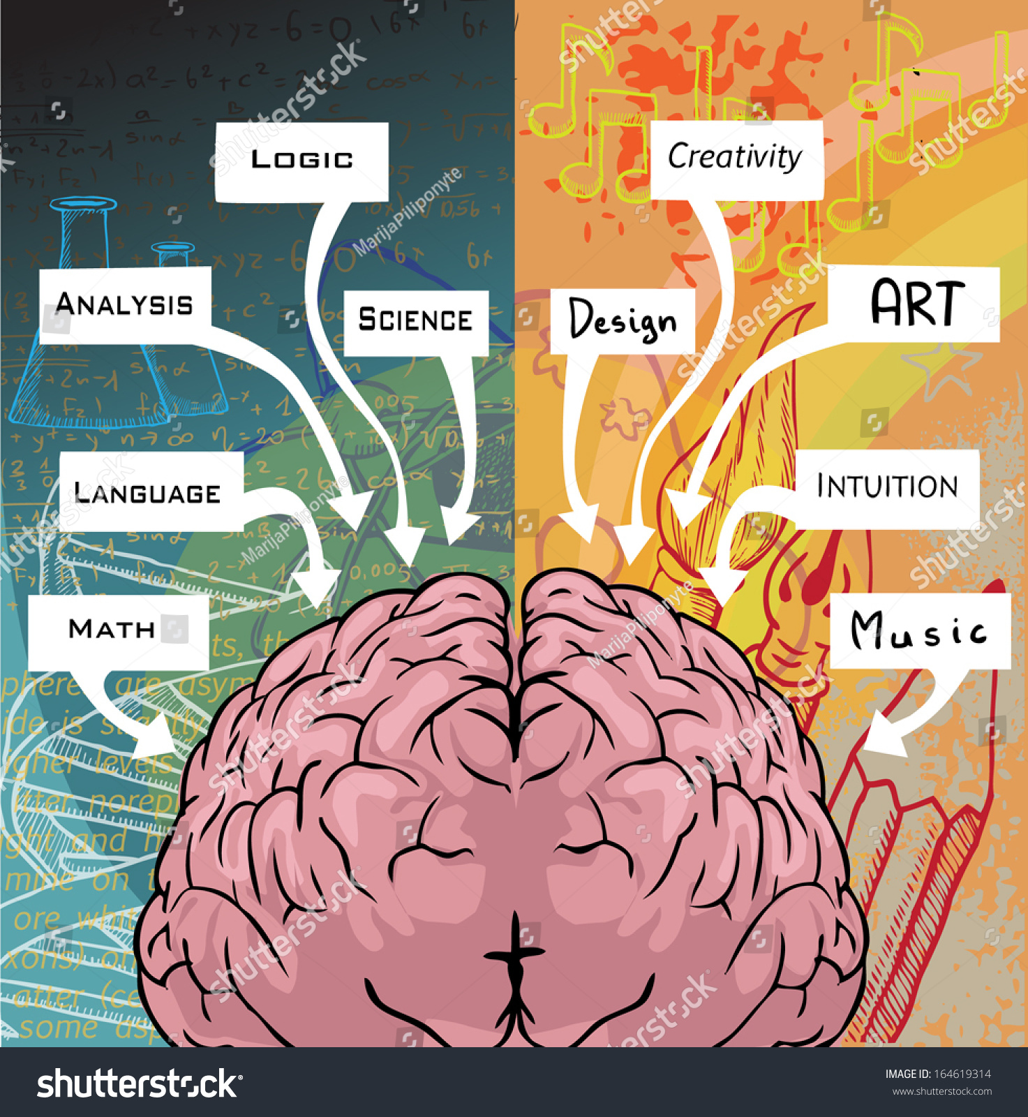 Left Right Side Brain Logic Creativity Stock Vector 164619314 ...