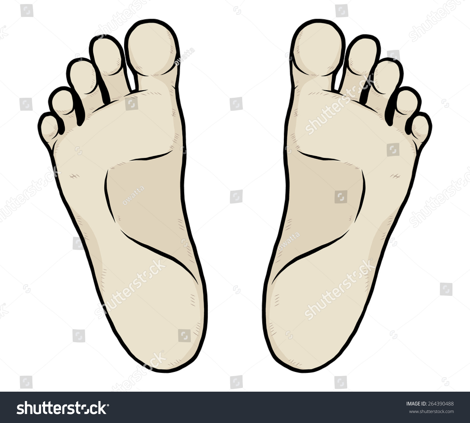 Left Right Sole Cartoon Vector Illustration Stock Vector (Royalty Free ...