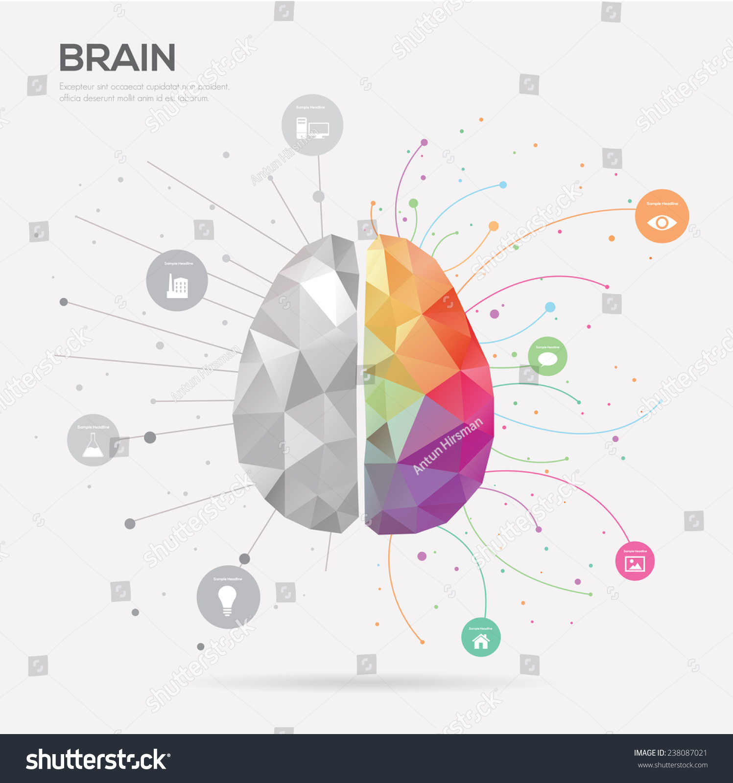 Left Brain Right Brain Idea Concept Stock Vector (Royalty Free) 238087021